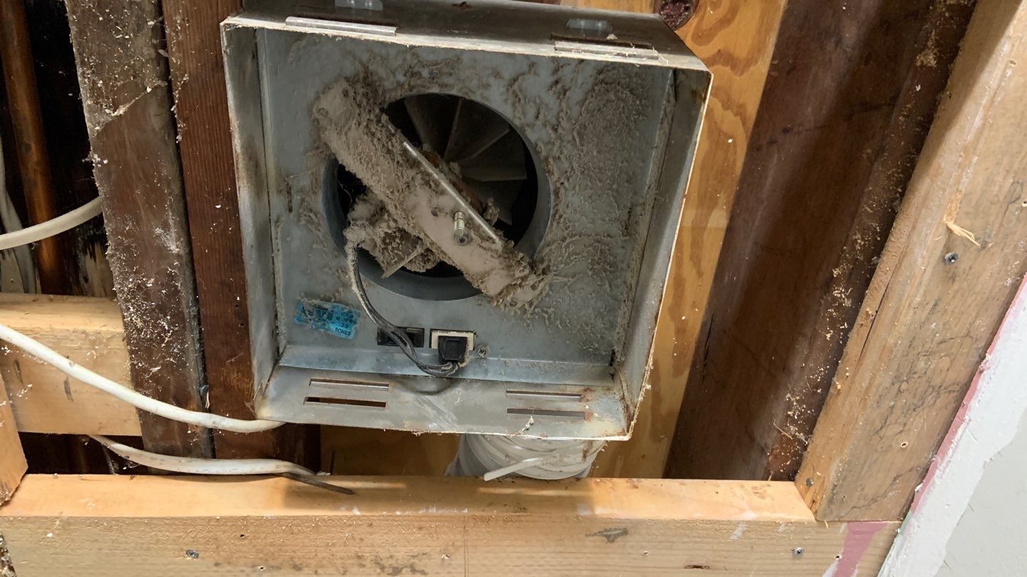 Ceiling & Shower Repair by A1 NERDY HOMES LLC