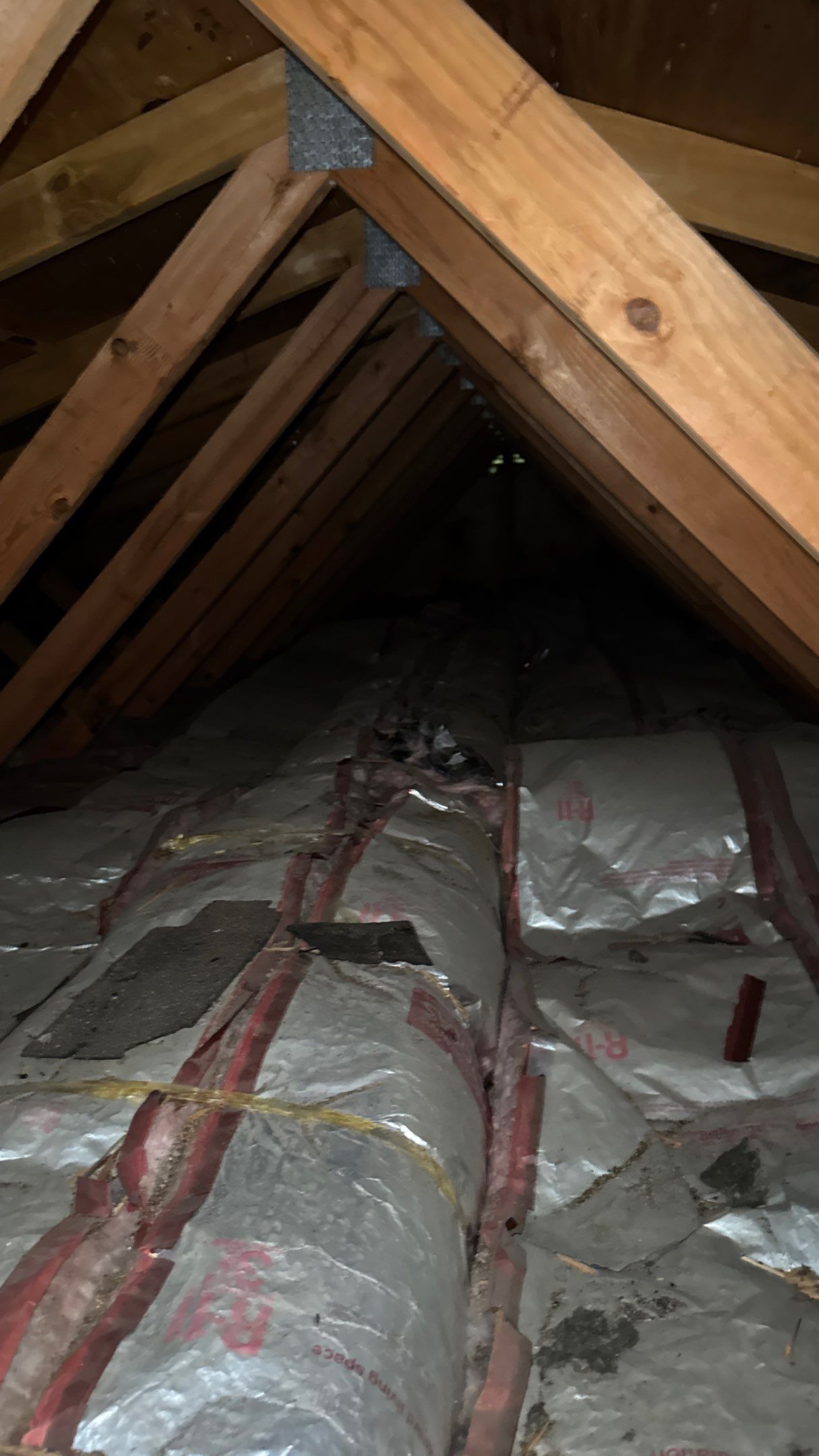 Roof Replacement using Owens Corning Summer Harvest by 180 Contractors