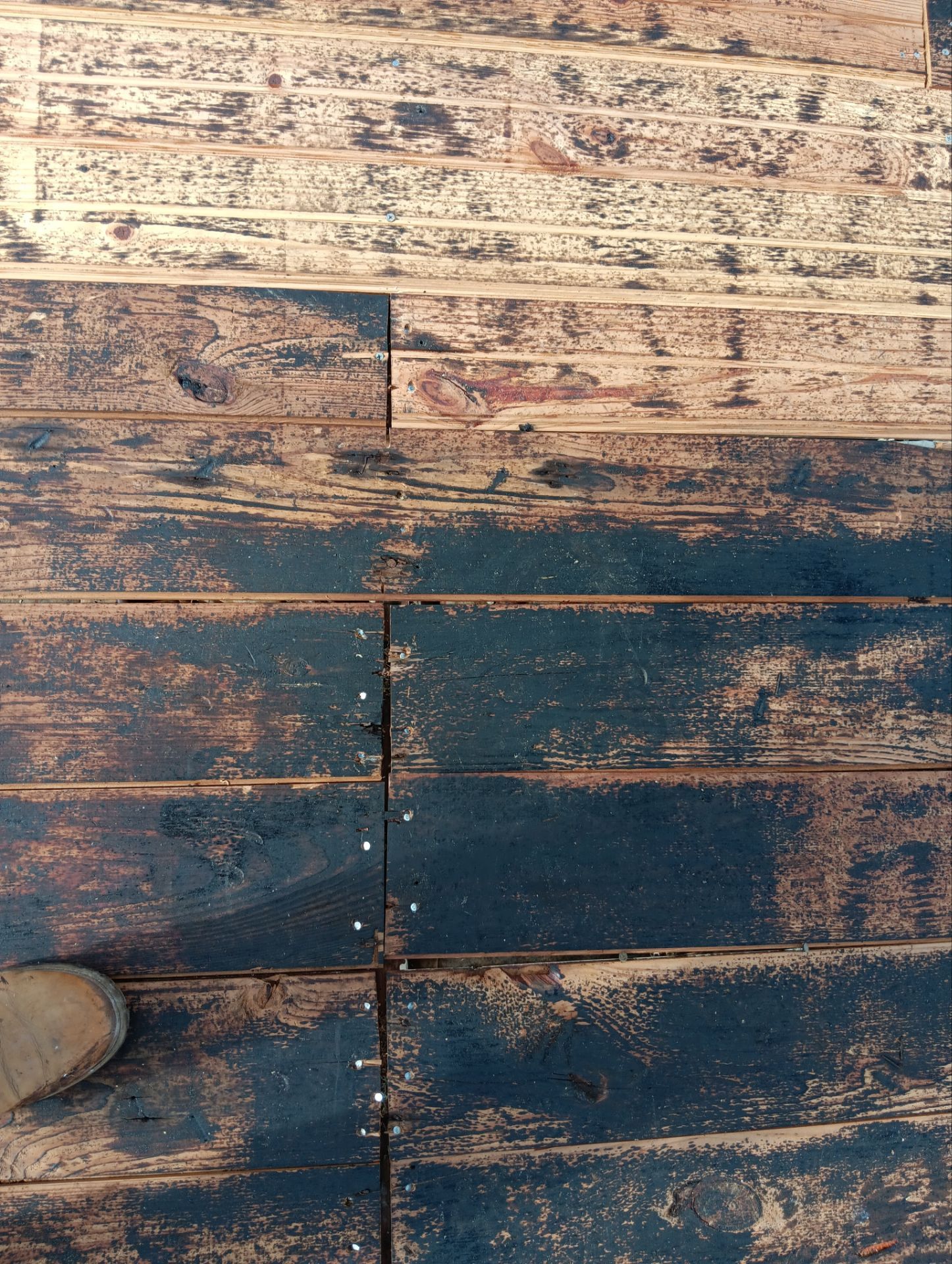 Shingles Roof in Boca Raton by Roofing Recovery