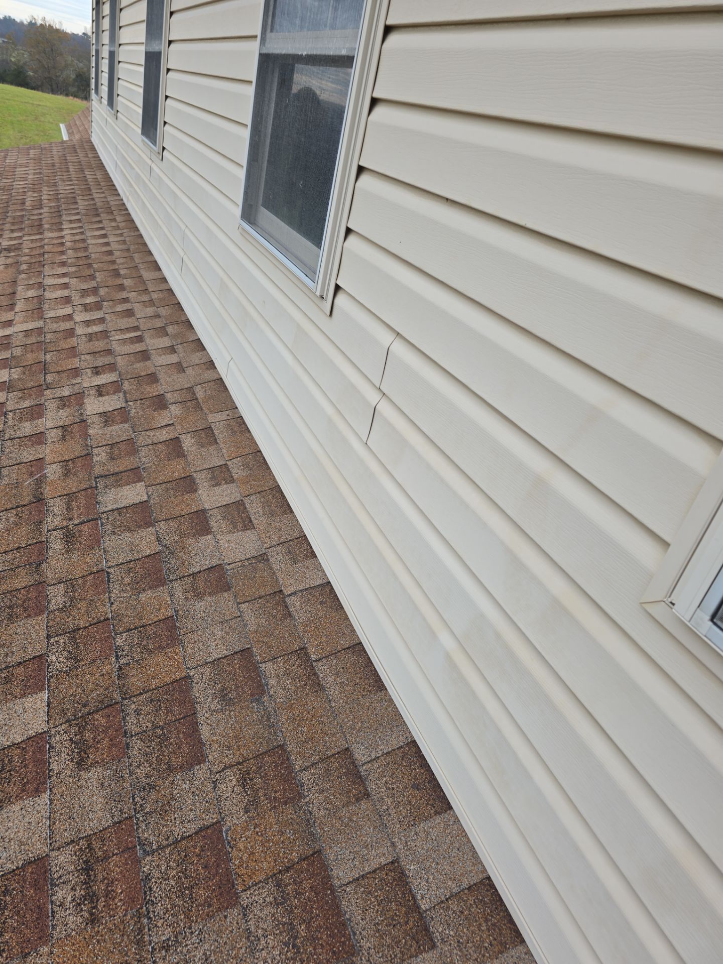 Lee Boy by Omnia Roofing