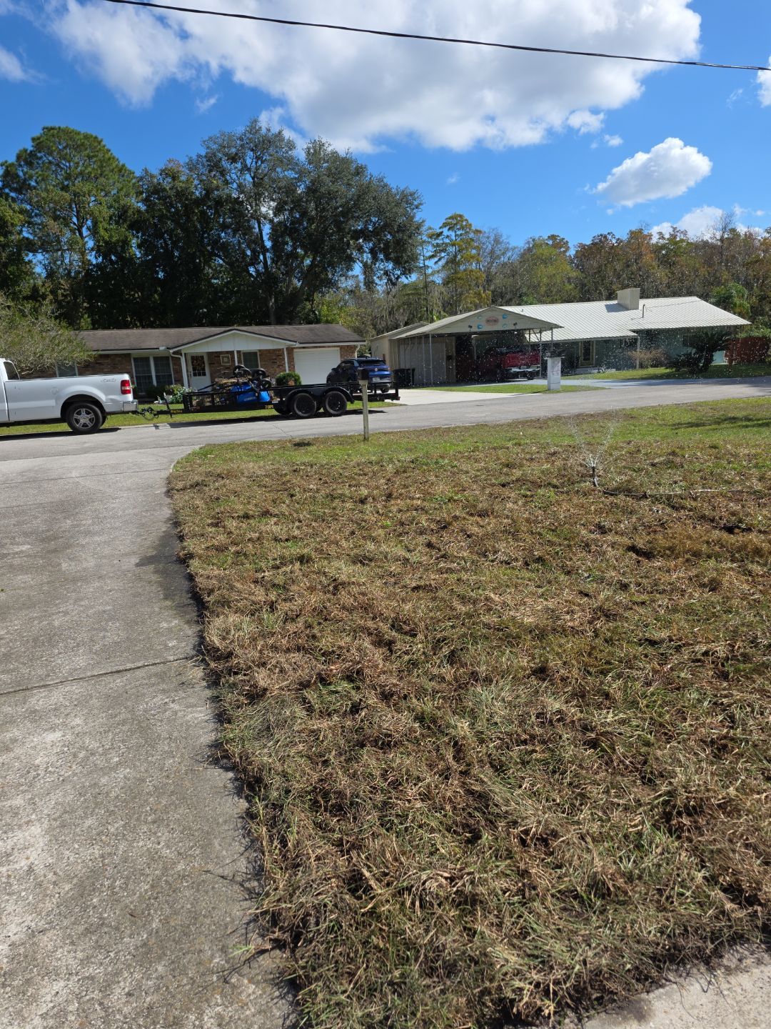 Tree Removal & Sod Install | Residential by ProGreen Services