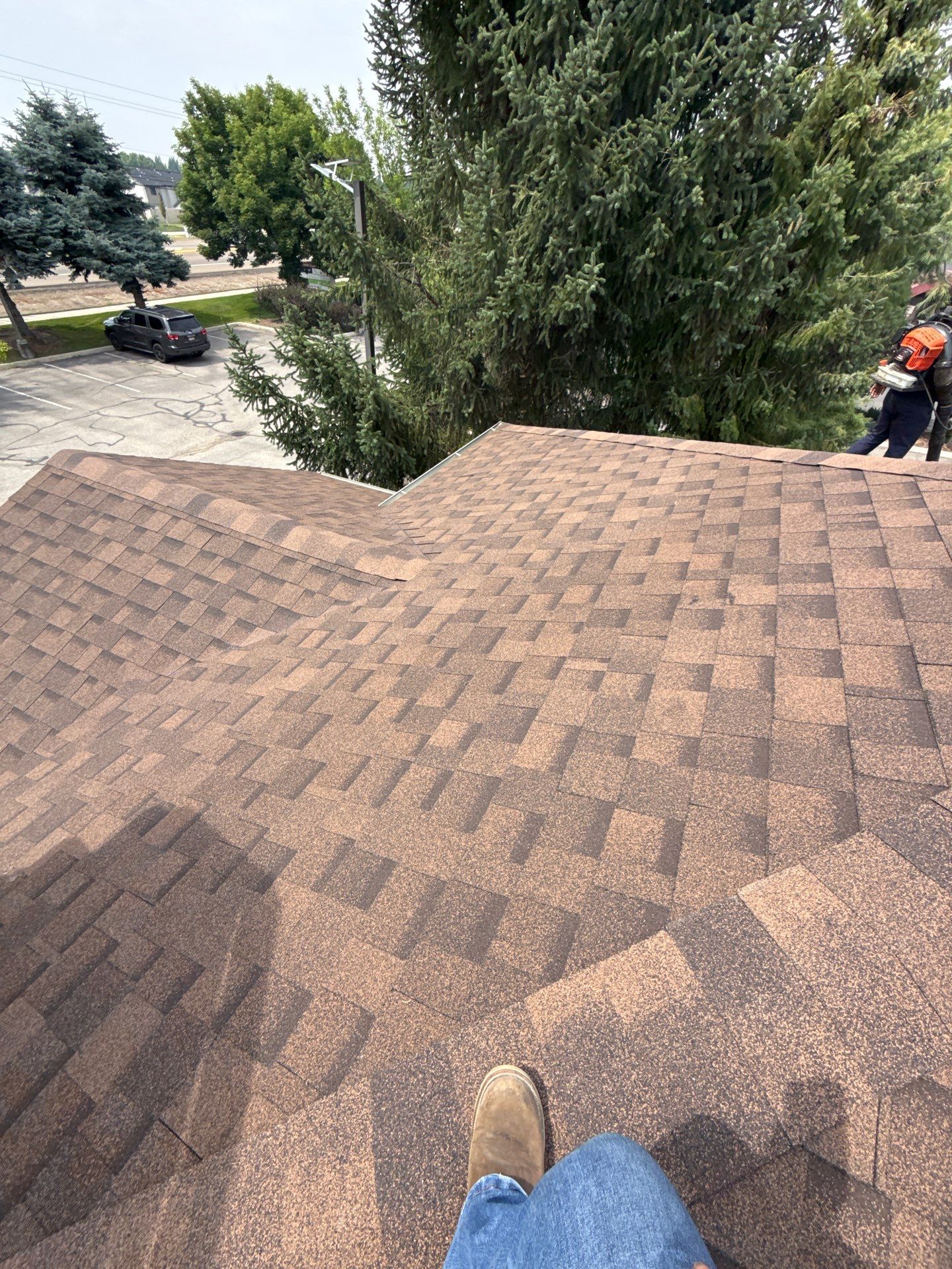 Boise Commercial Roof Replacement with Brown Architectural Shingles by Olive Roofing