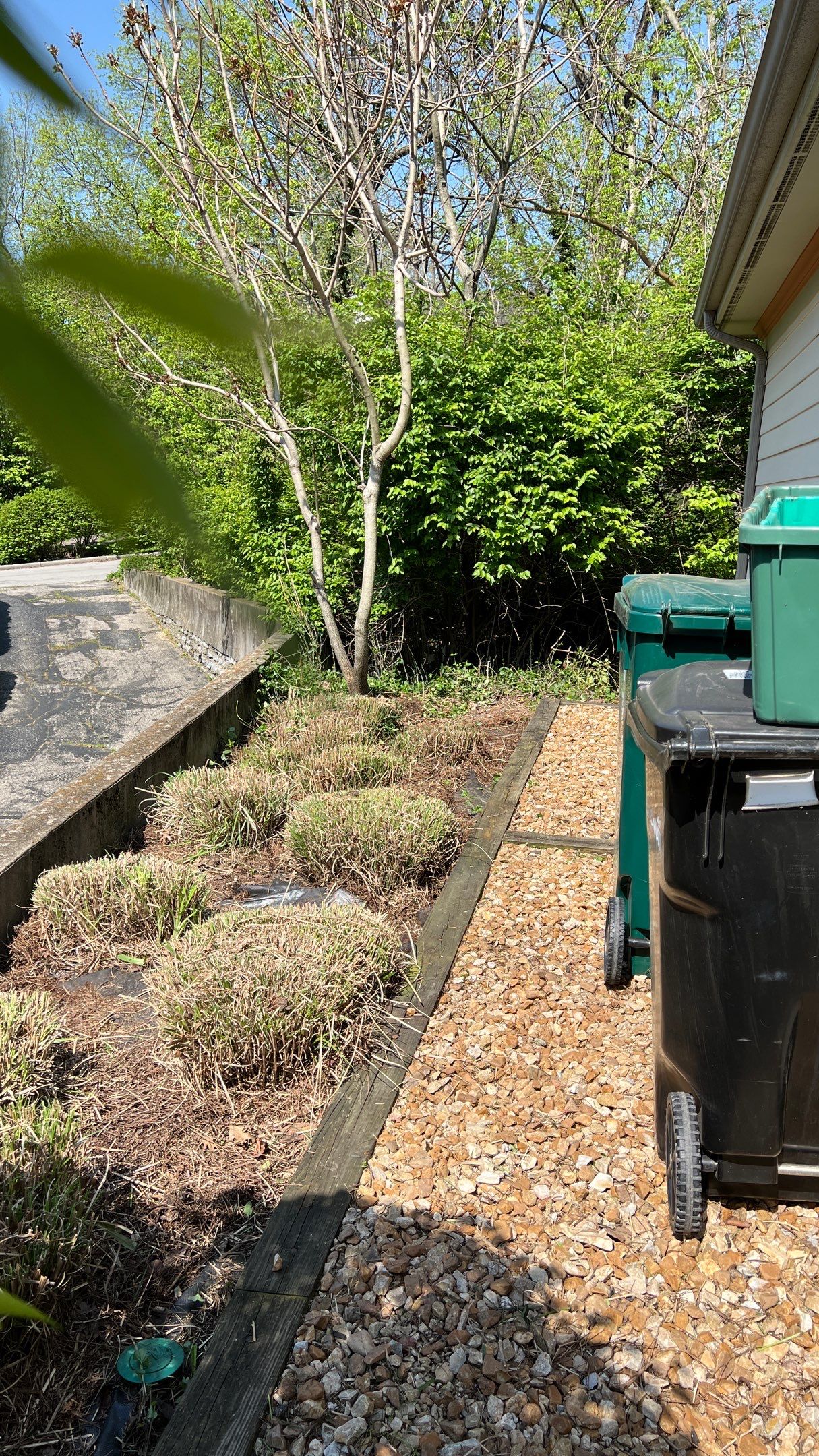 Spring Clean Up, Edge, & Mulch  by Reisenberg’s Lawn & Landscape, LLC