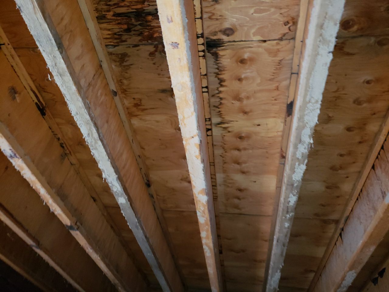 Residential Roofing Repair using Concrete Tile by The Roof Doctor