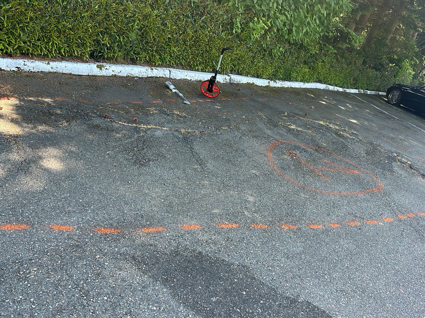 Lakeshore Investment | Parking Lot Repaving | Asphalt Project by Jireh Asphalt & Concrete Inc 