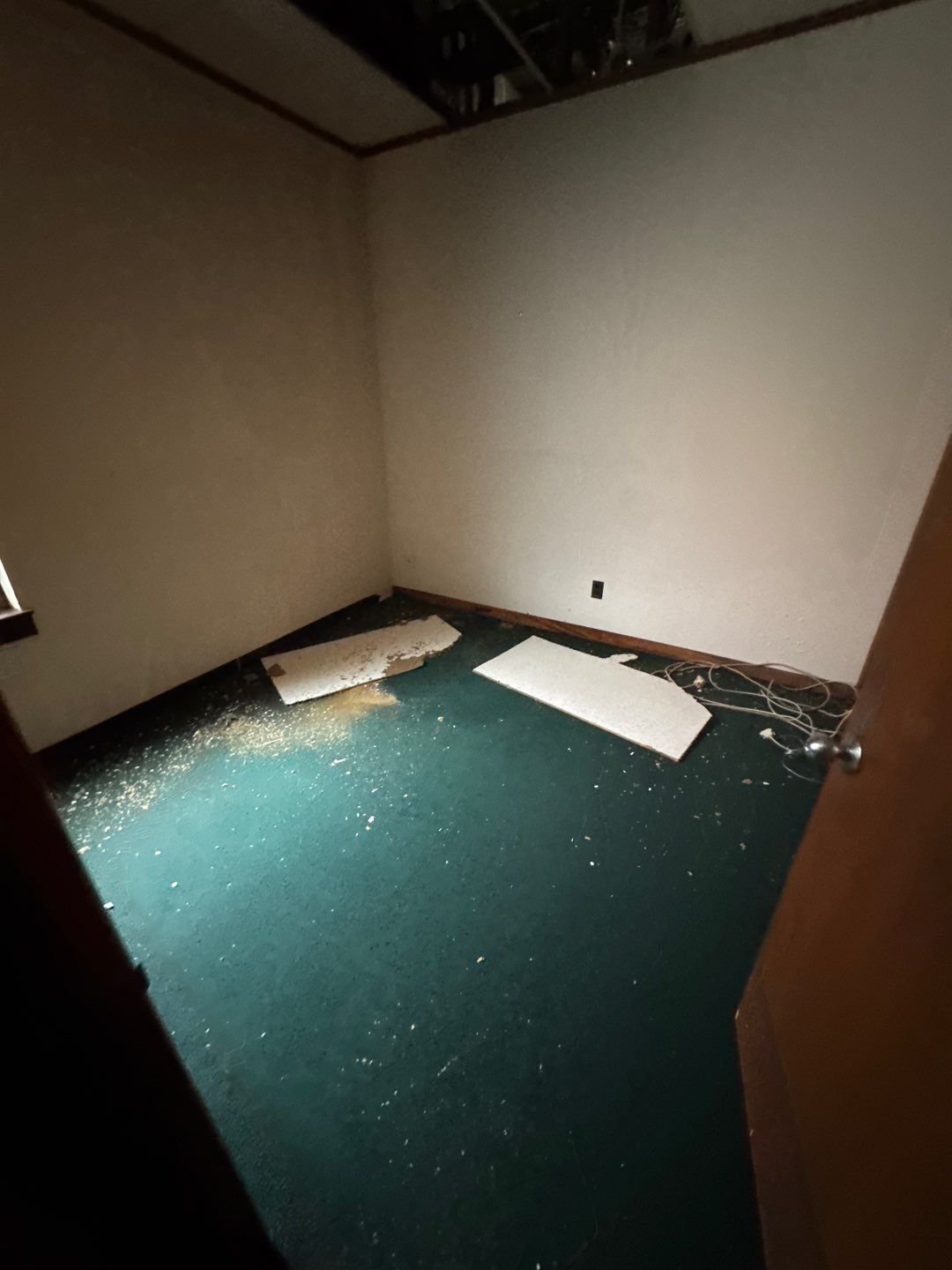 Project in Royal Oak by EzDry Water Mitigation & Property Restoration