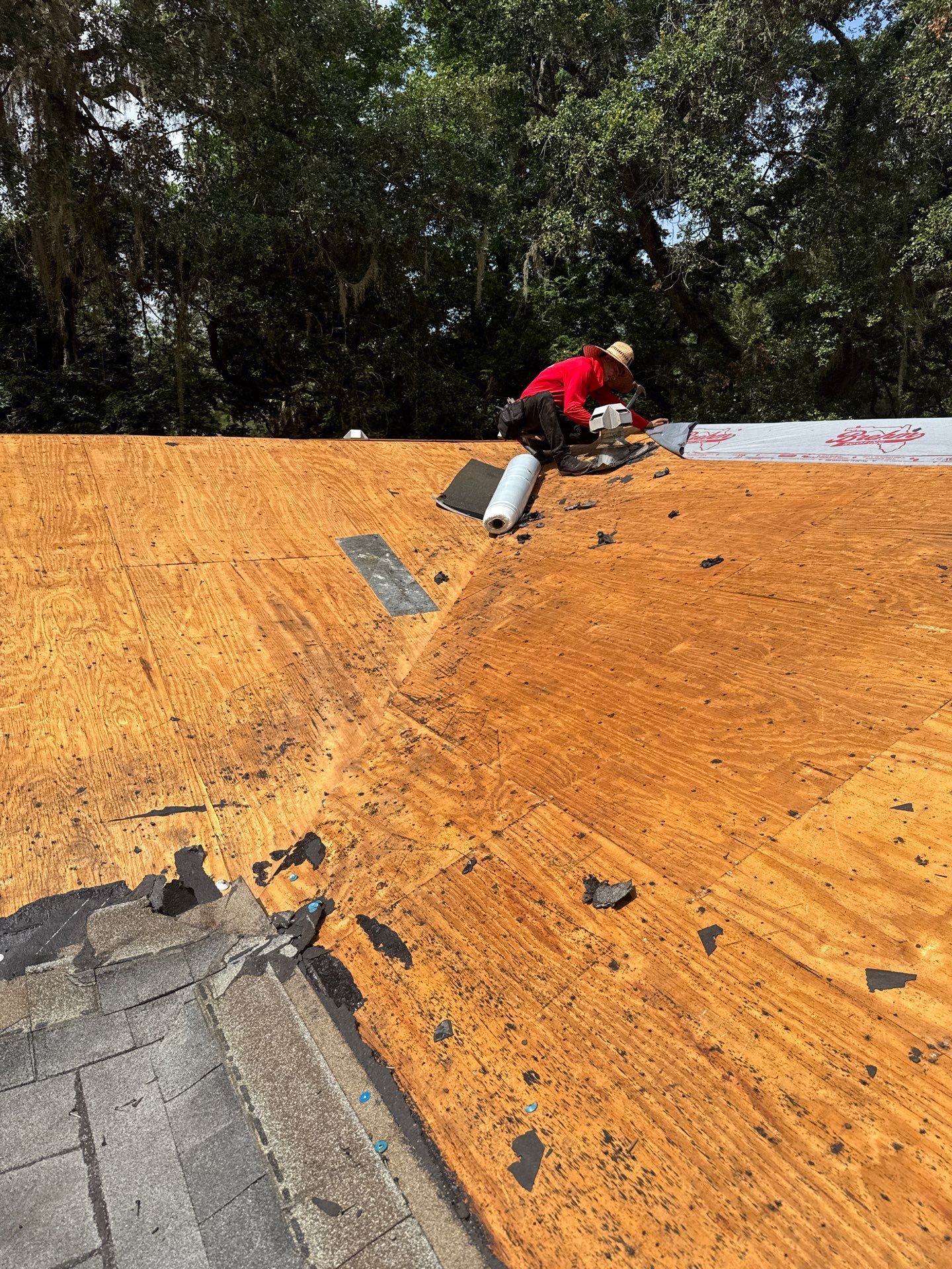 Roof Replacement in Gainesville, FL  by Brehm Roofing