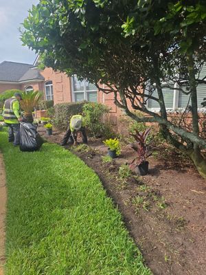 Deerwood Resident | Landscape Project