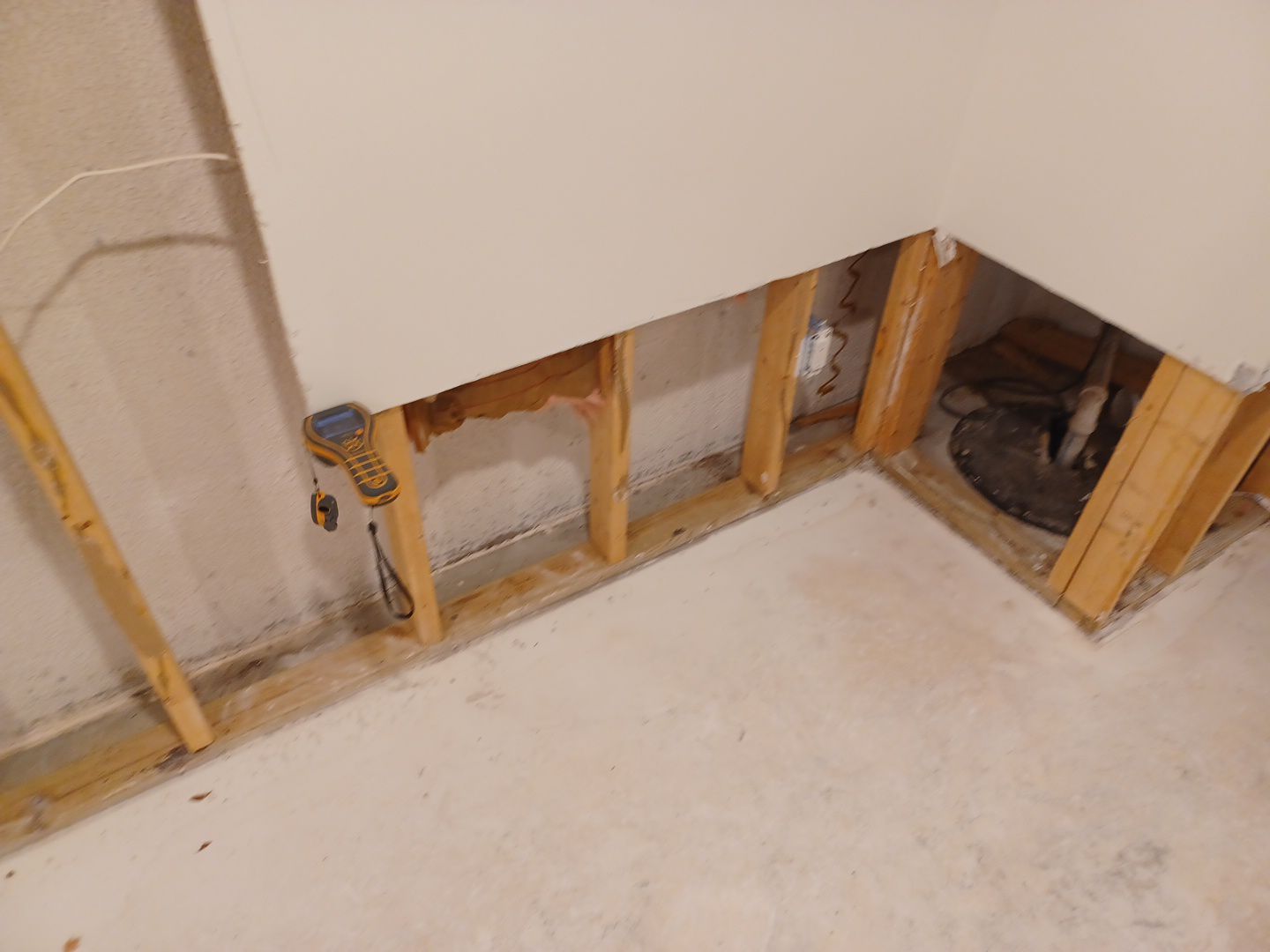 Project in Commerce Twp by EzDry Water Mitigation & Property Restoration