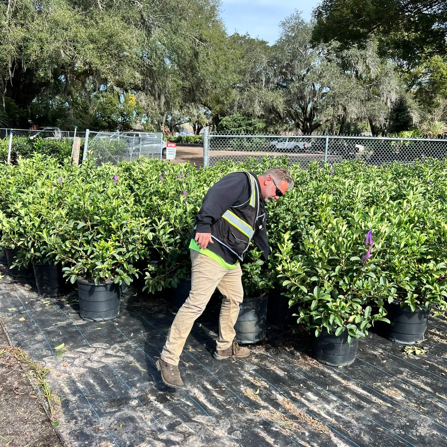 Landscape Install | Residence by ProGreen Services