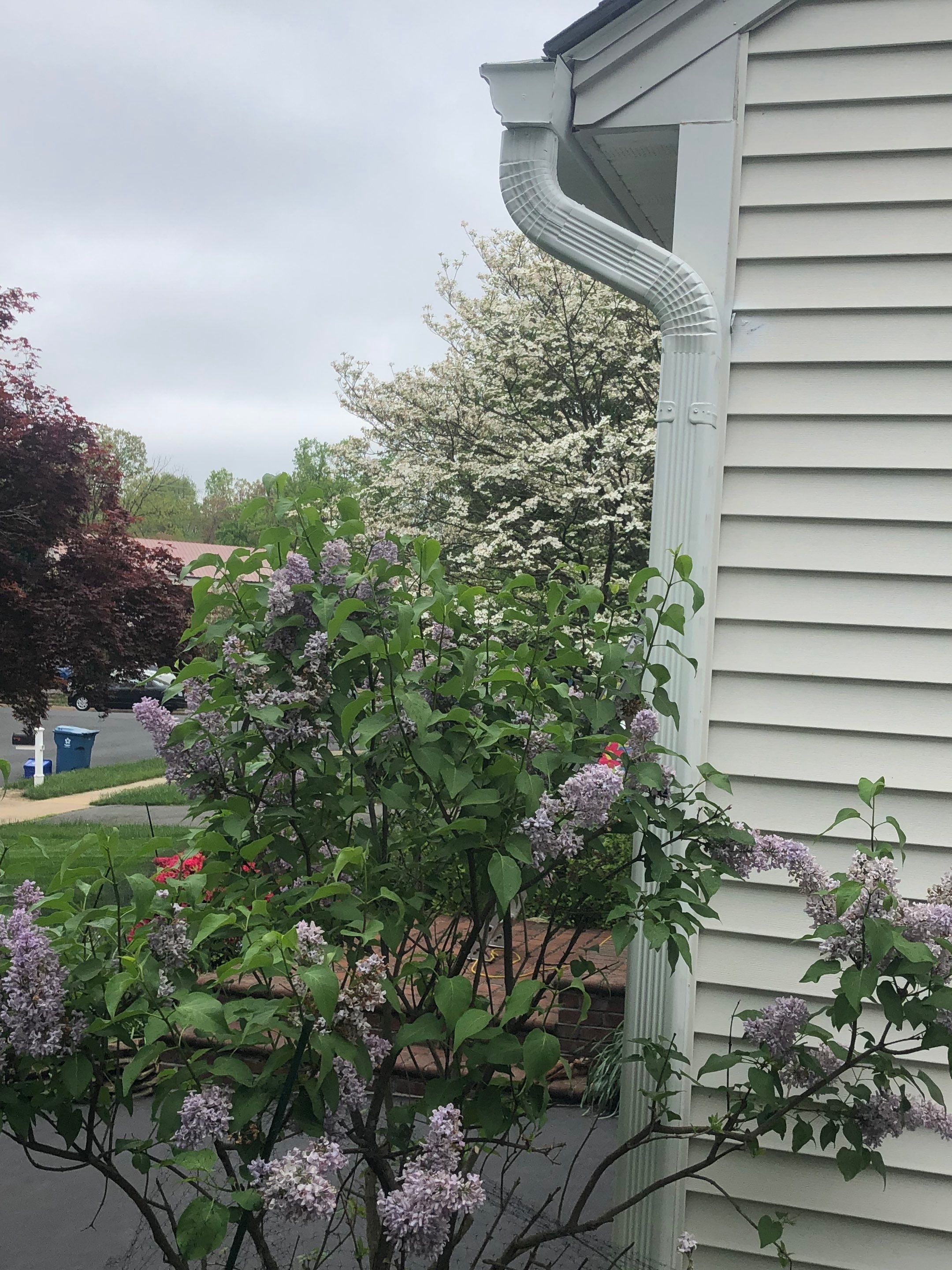 Vienna: CertainTeed Landmark Pro Designer Shingles in Max Def Moire Black by RM Banning, Inc.