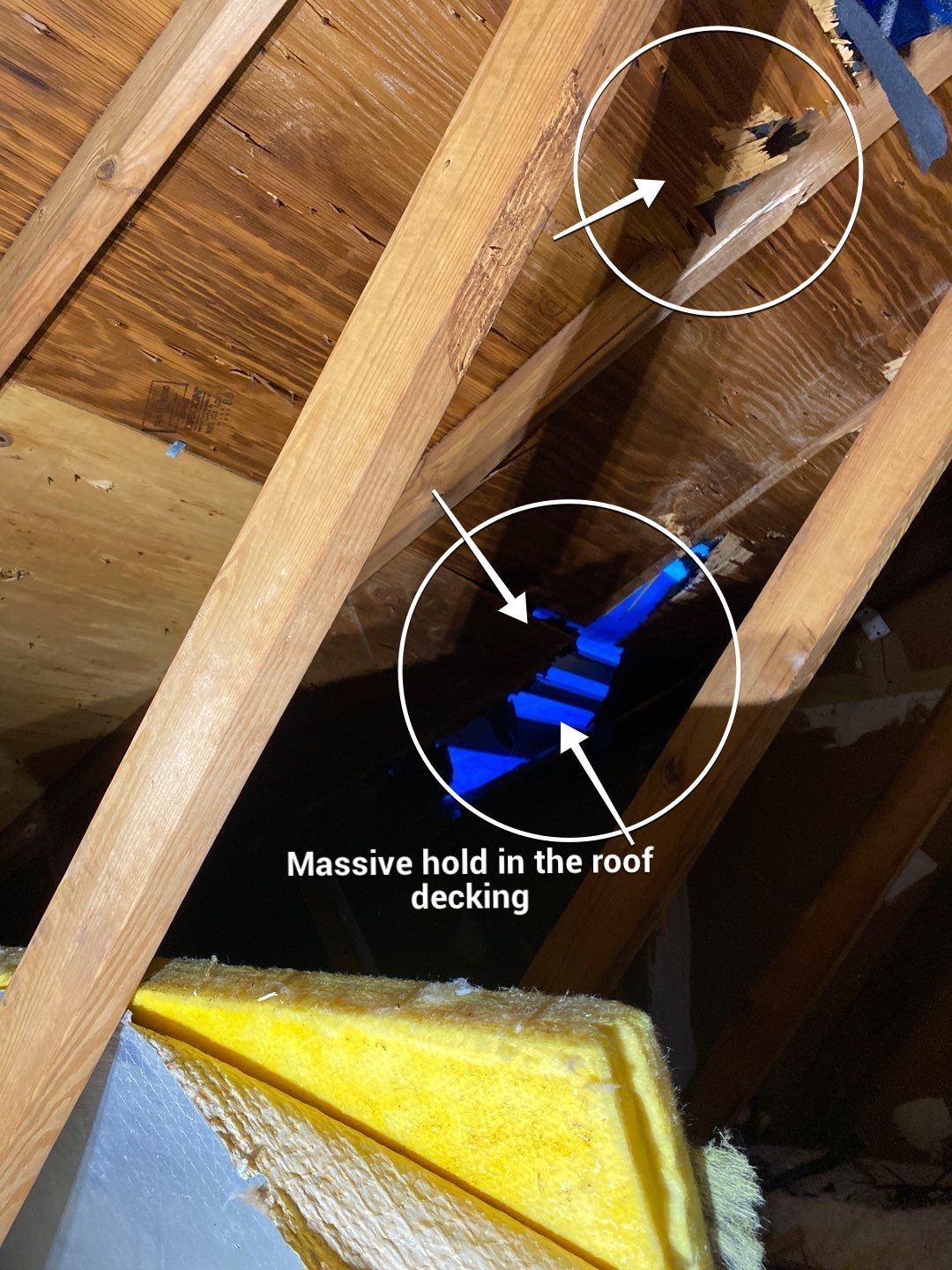 Roof Repair  by Alpha Design Services