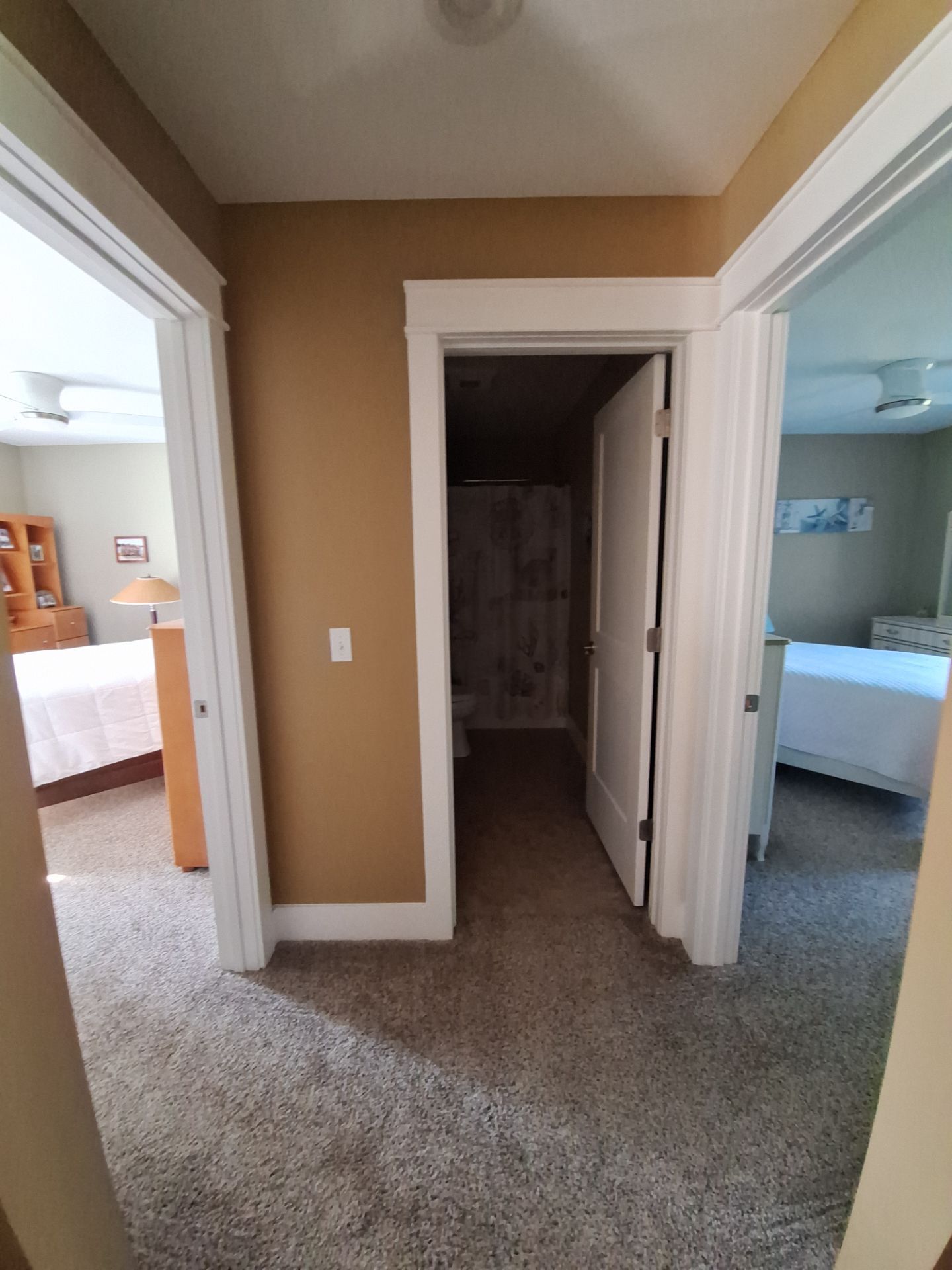 Bright & Fresh Interior Transformation by Gordon Painting