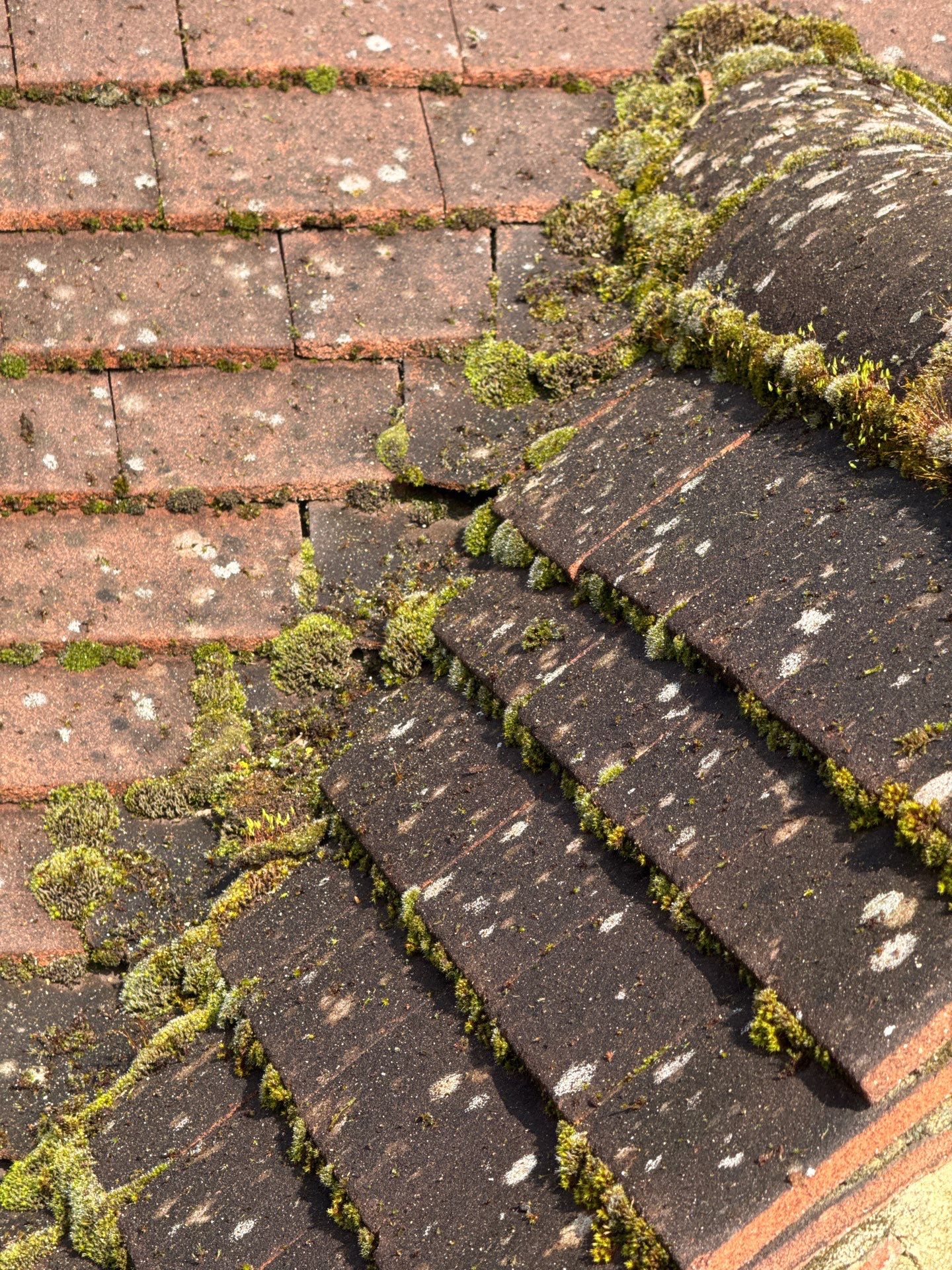 Roof Clean  - Moss Removal - Gutter Clean using Honda 15lpm Low Pressure Washing Machine by Ges Exterior Cleaning ltd