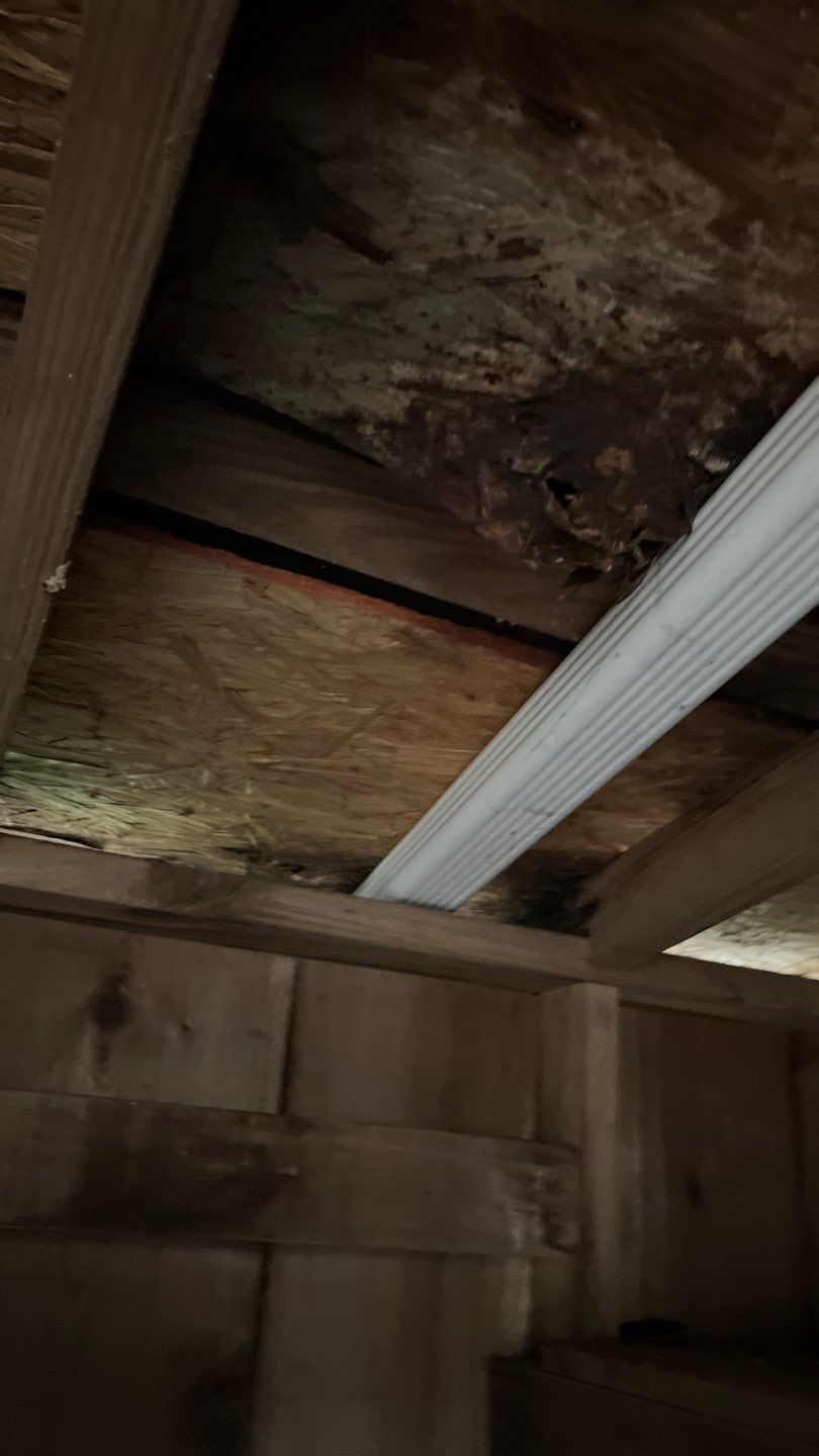 Residential Roofing Installation using CertainTeed by Roof Concepts Construction