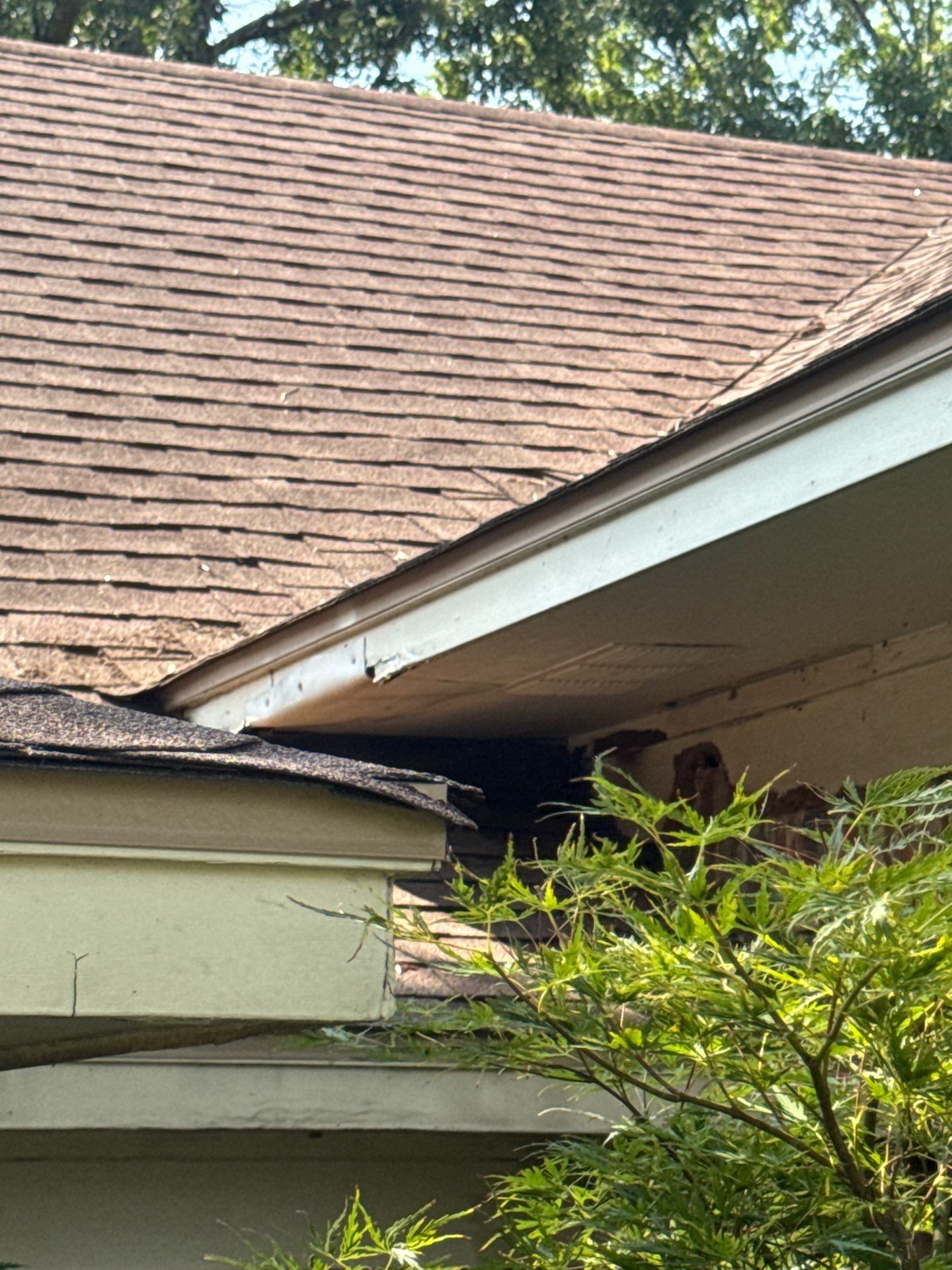 Exterior Repaint – South Tyler, Texas - Lots of Wood Replaced by Quality Coats Painting