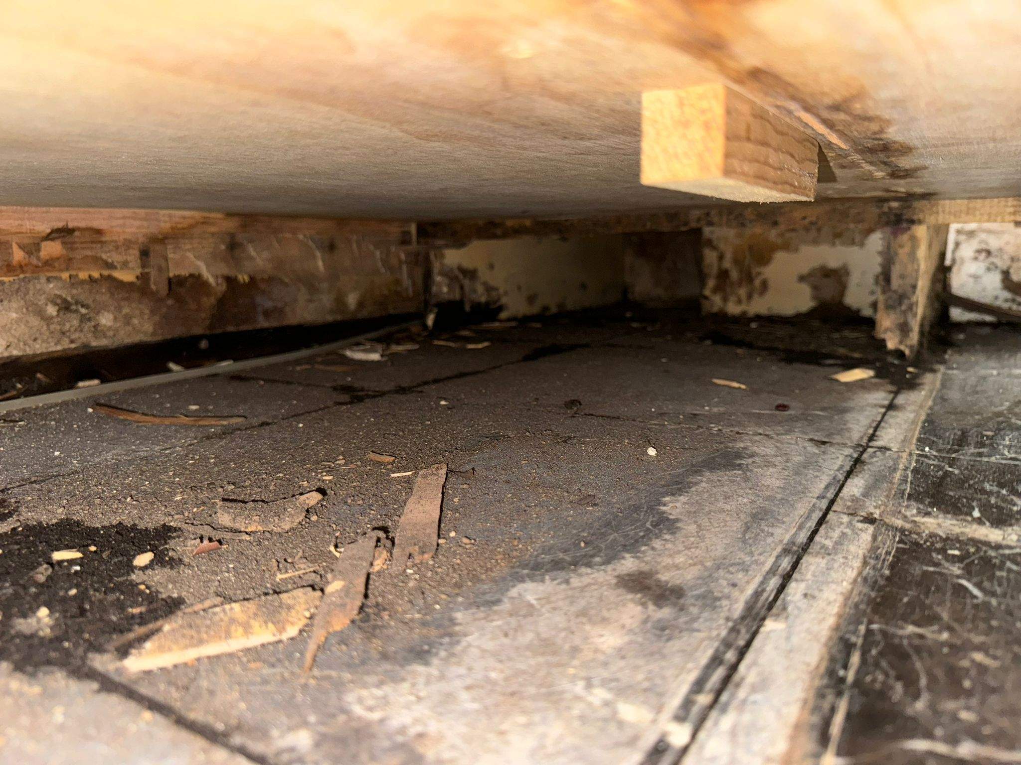 Water Damage Claim in Miramar by FLAPA & KeyStone