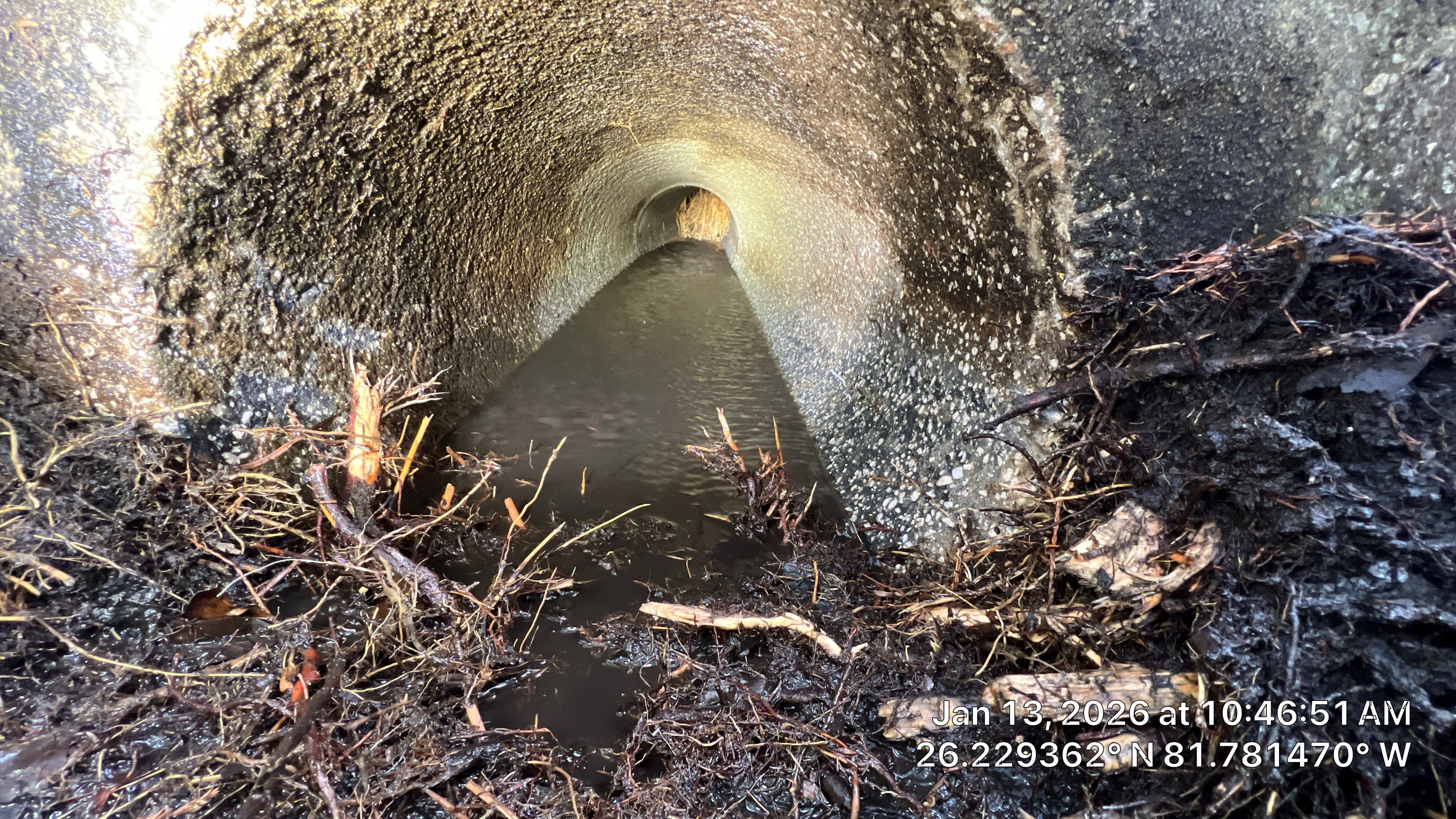 Naples Community Root Intrusion Investigation with P.R.S. by Don Mar, Inc. Storm Water Solutions