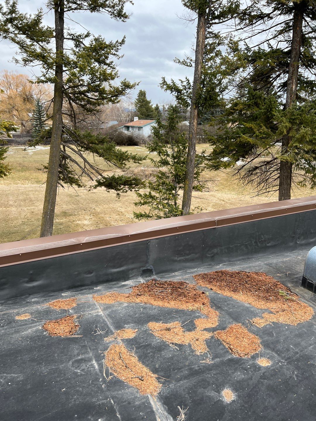 GAF Timberline HDZ - Charcoal by Montana Roofing Solutions