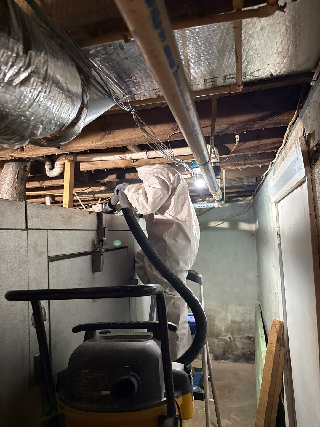 Rehoboth Beach VFW Indoor Air Restoration & Basement Mold Remediation by Healthy Home Solutions