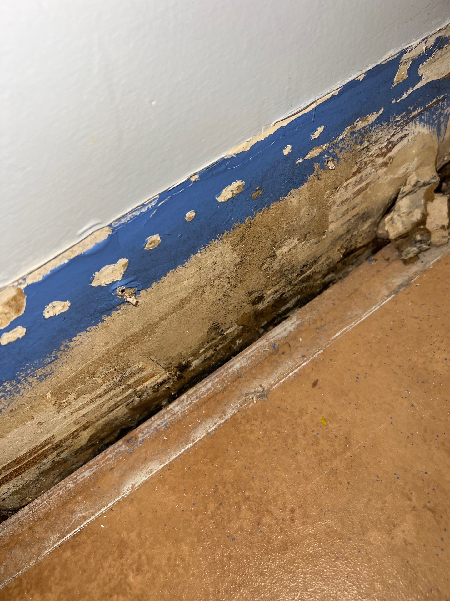 Emergency Water Mitigation & Structural Cavity Drying in Wilmington by Right On Time Restoration