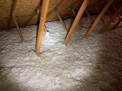 Project in Louisville