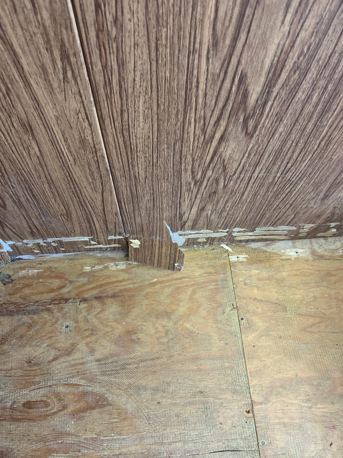 Commercial Remodel with Door Replacement  by L&T General Contractors and Restoration INC