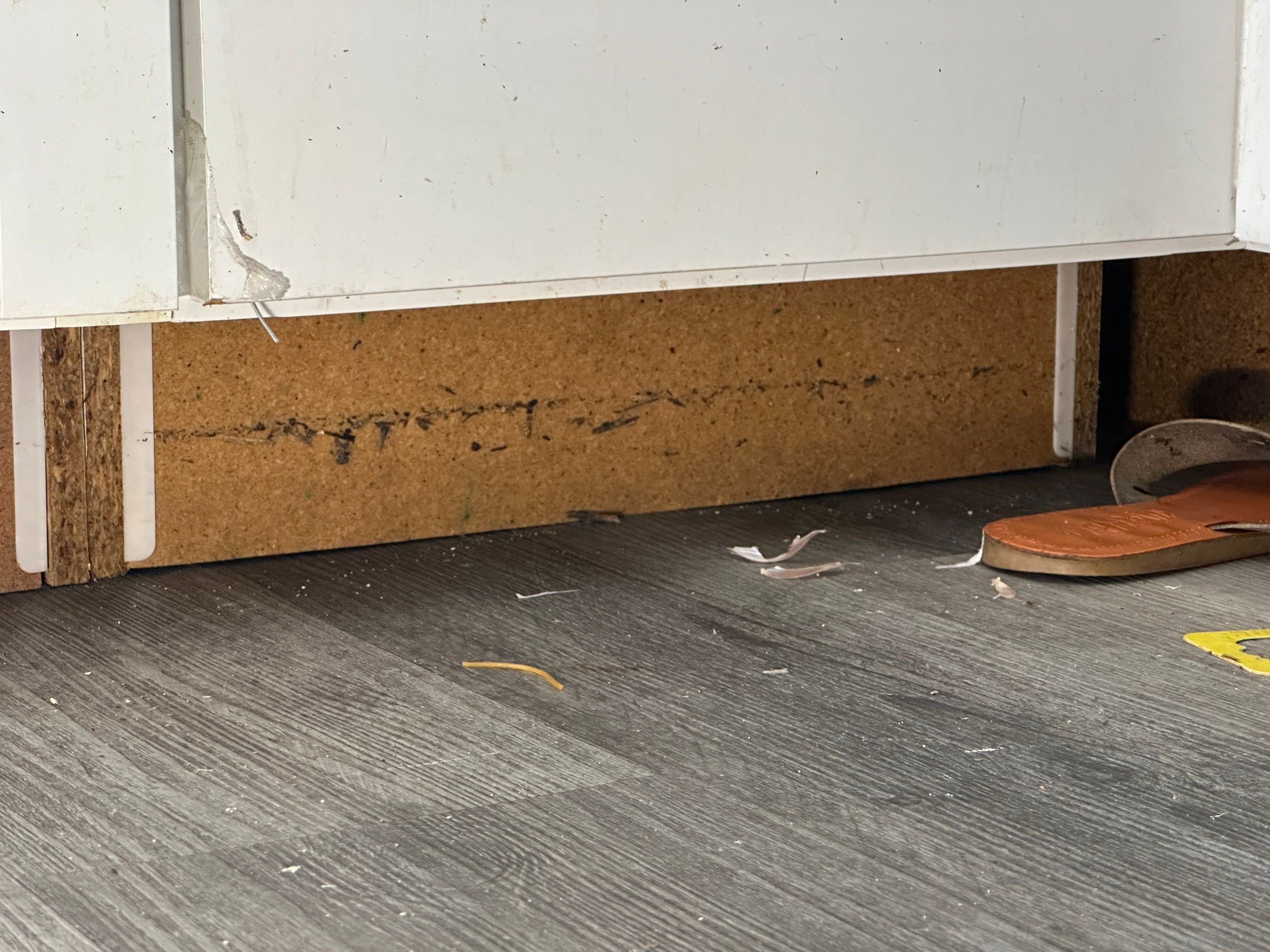 Water Damage Claim in Miami by FLAPA & KeyStone