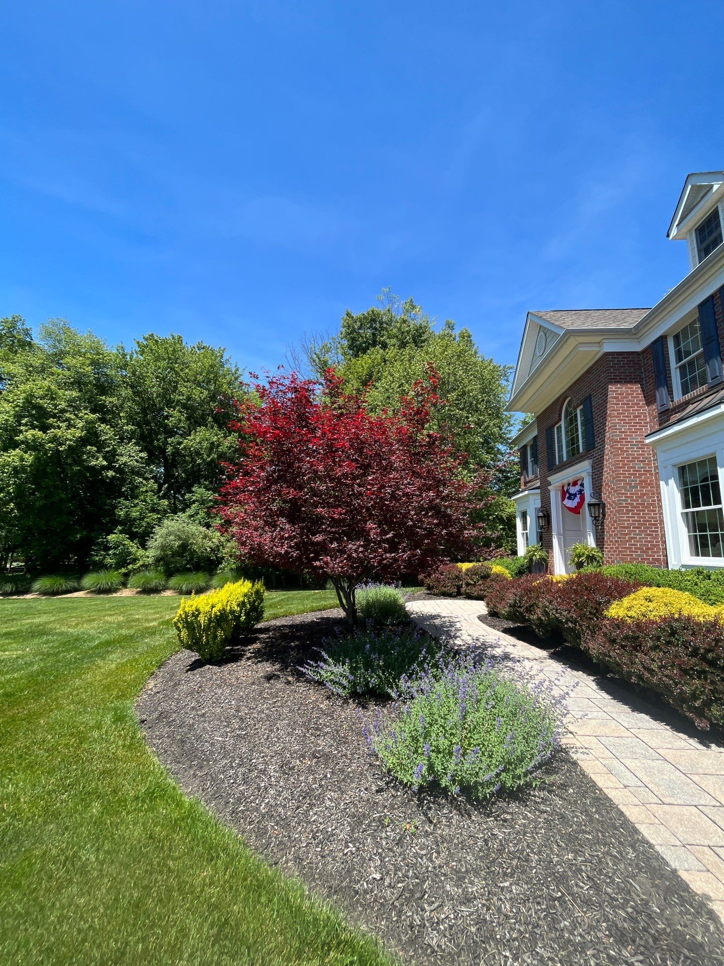 Lawn Care and Shrub Care at a beautiful Bridgewater property by Ants Plants