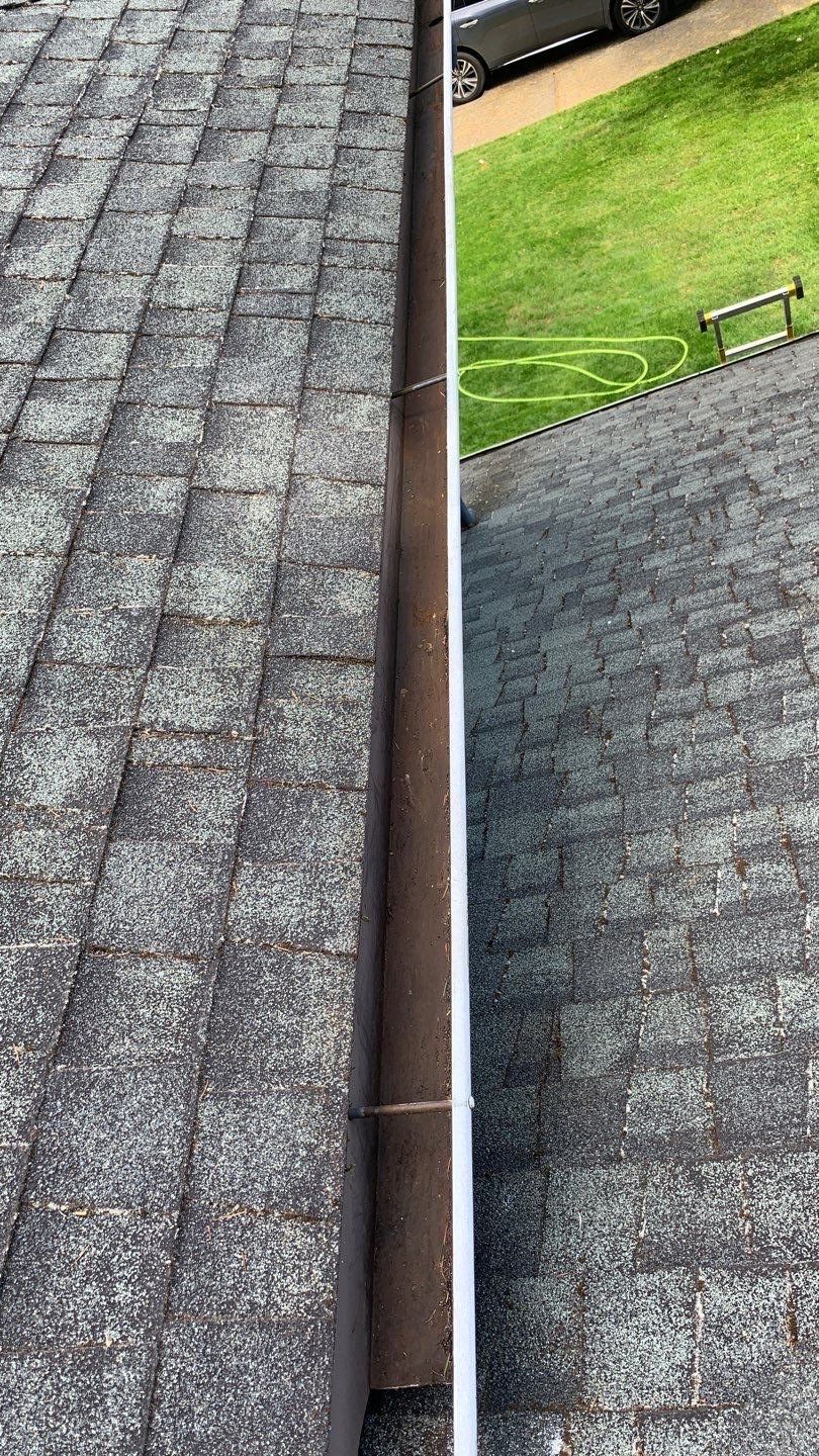 Softwashed in many Years back, and organic regrowth significant by DawnSky LLC
