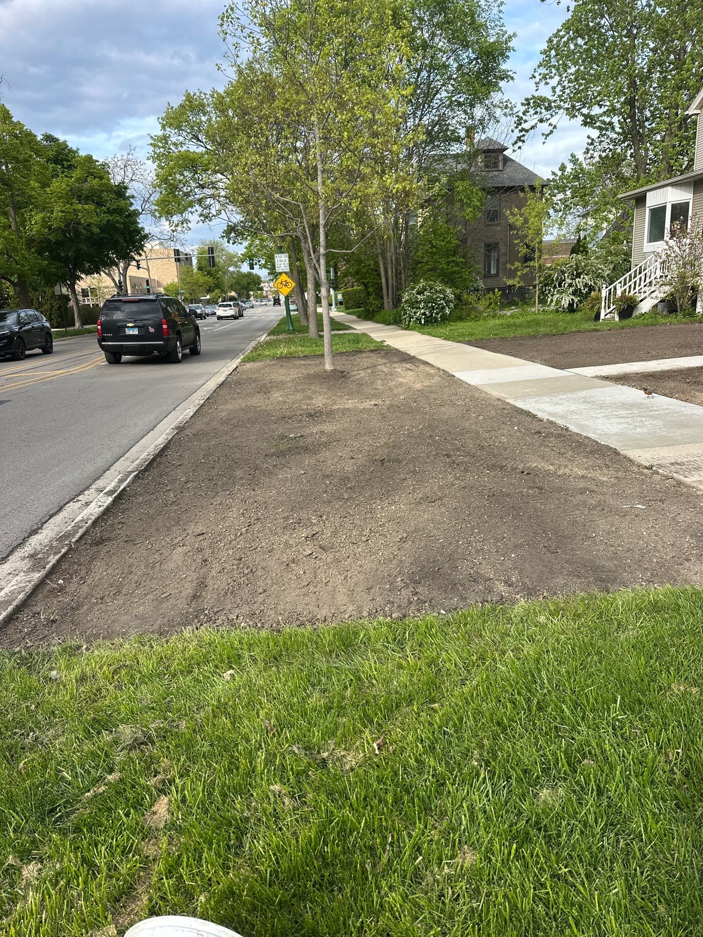 Tom D. - Wilmette, IL by A&N