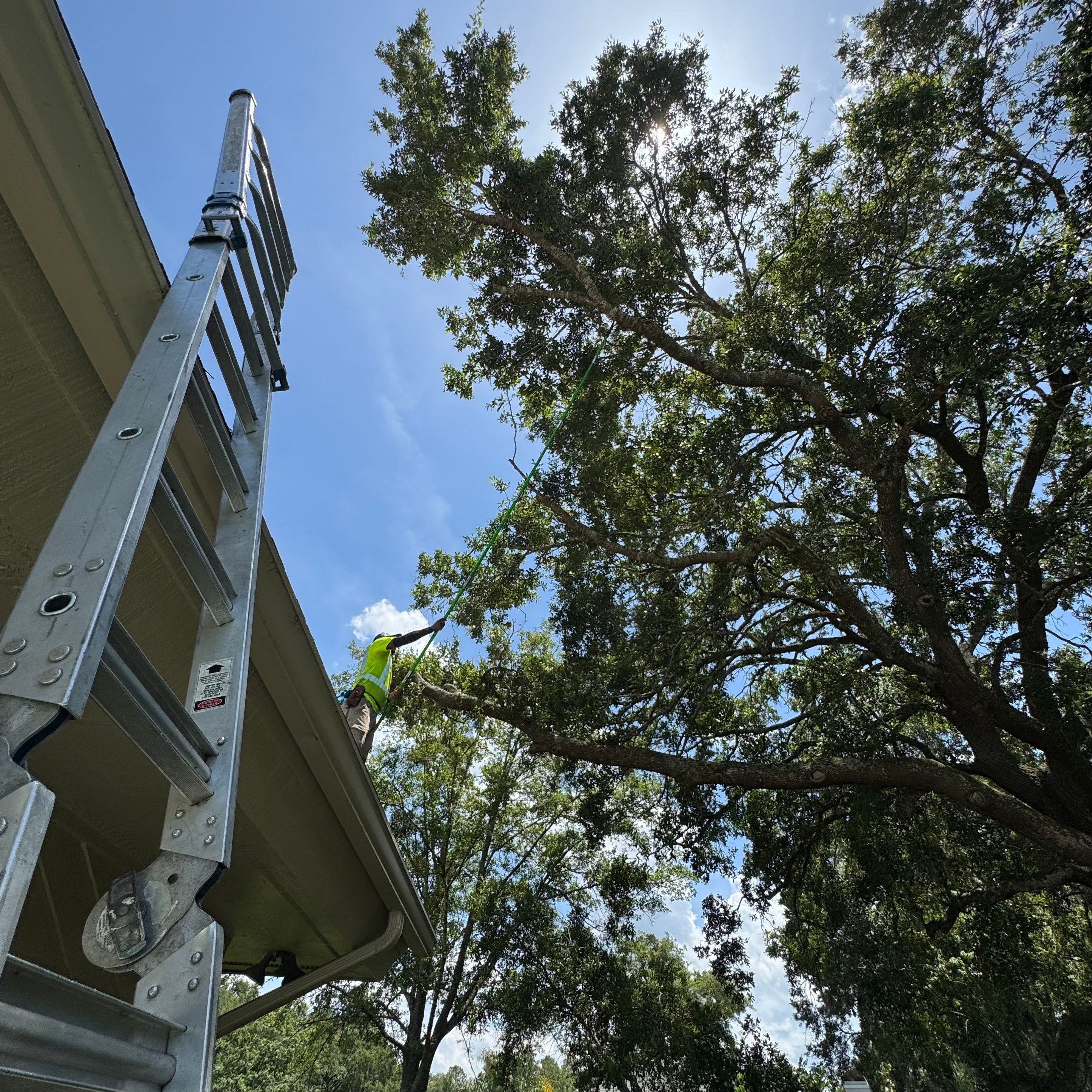 Deerwood Resident | Plant Install & Tree Work by ProGreen Services
