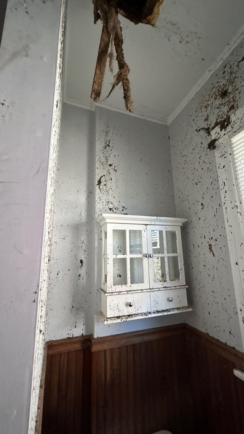 Fire Damage  by Accountable Home Services