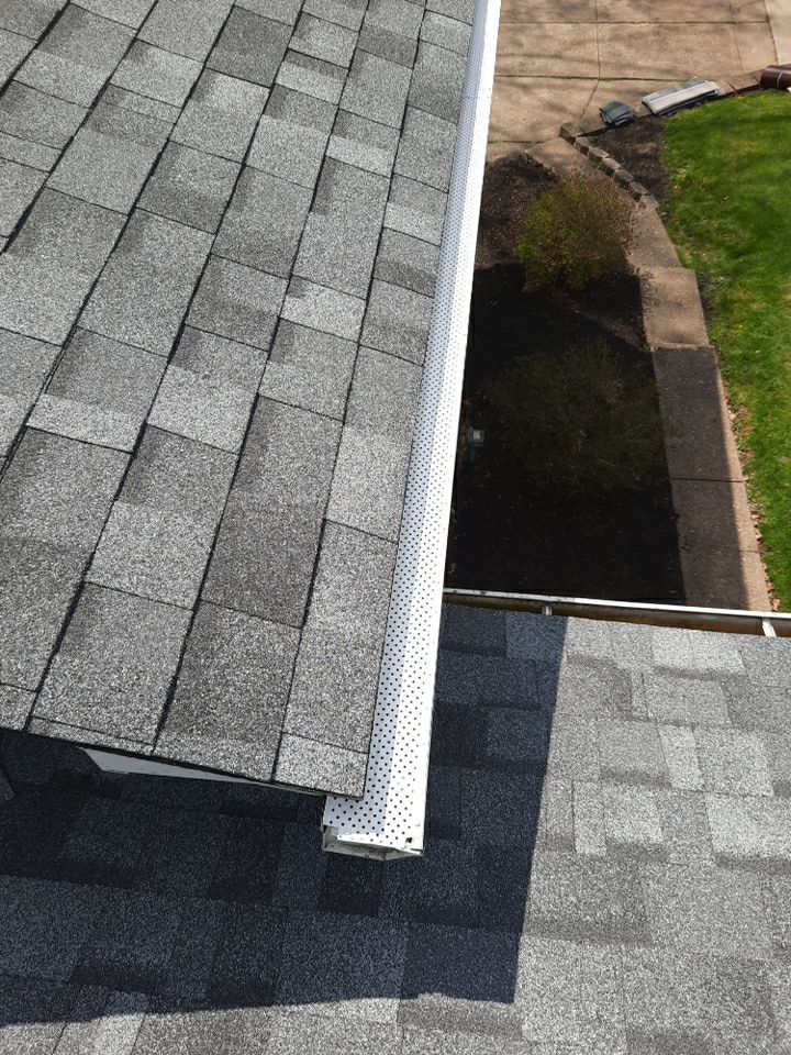 Josh Boone by Silver Leaf Contracting 