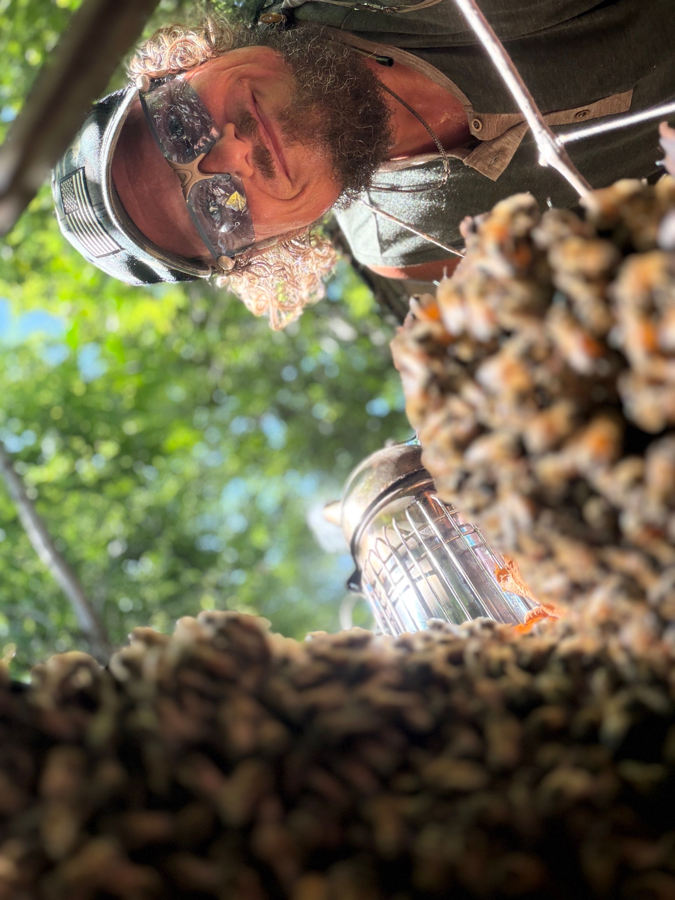 Warranted Removal by Rockwall Honey Bee Company