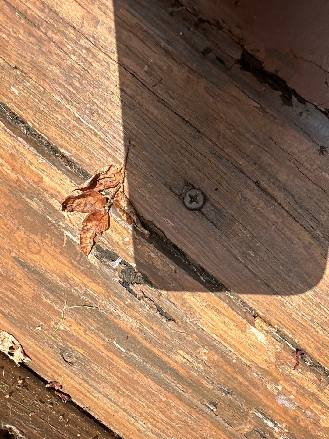 Weathered Deck using Wood Sealant by DuraSeal