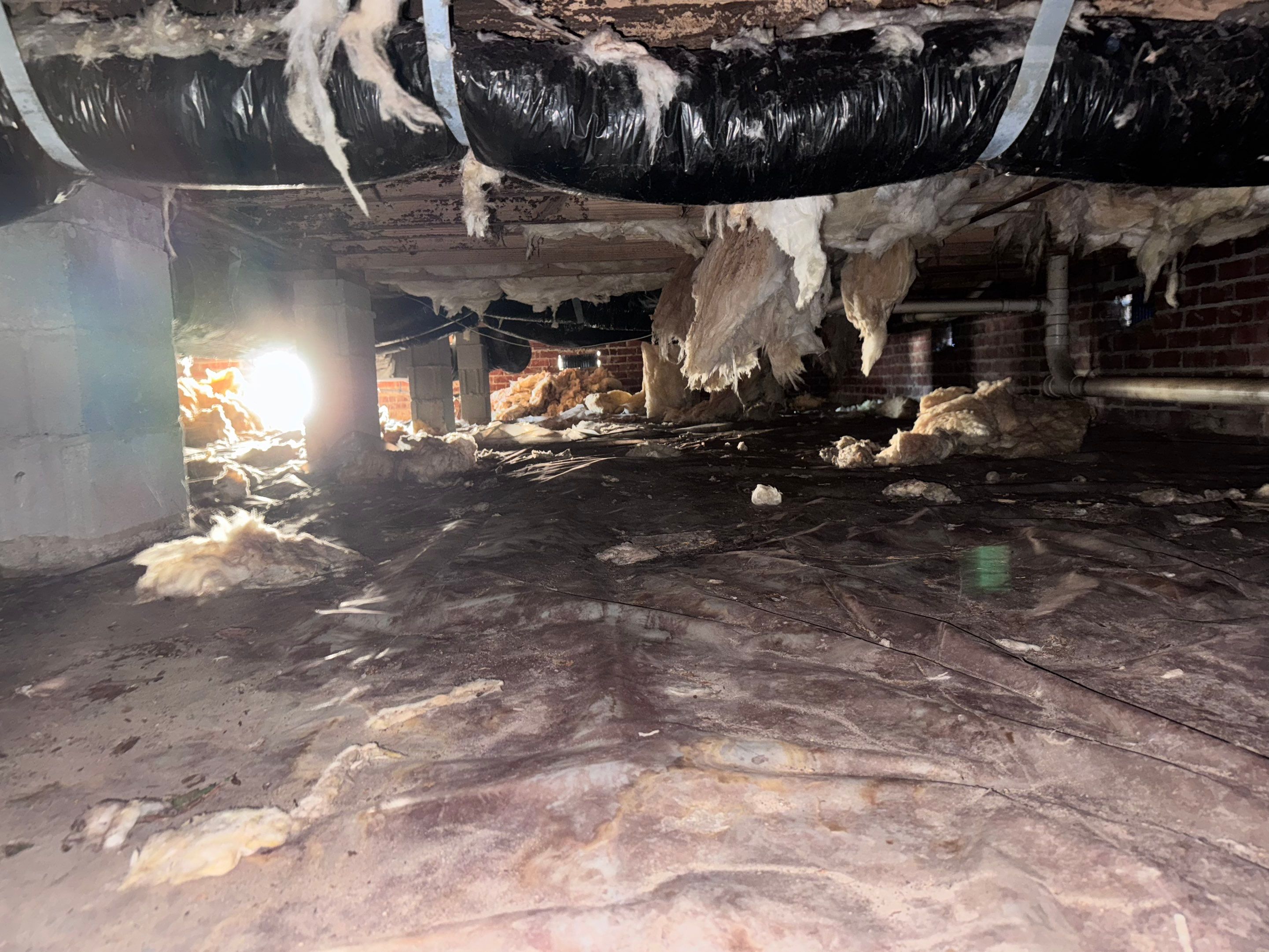 Structural Repairs inludiing sub-floor removal, new floor joists installed, girder replacmeent and dropped girder installed. by Impact Crawlspace