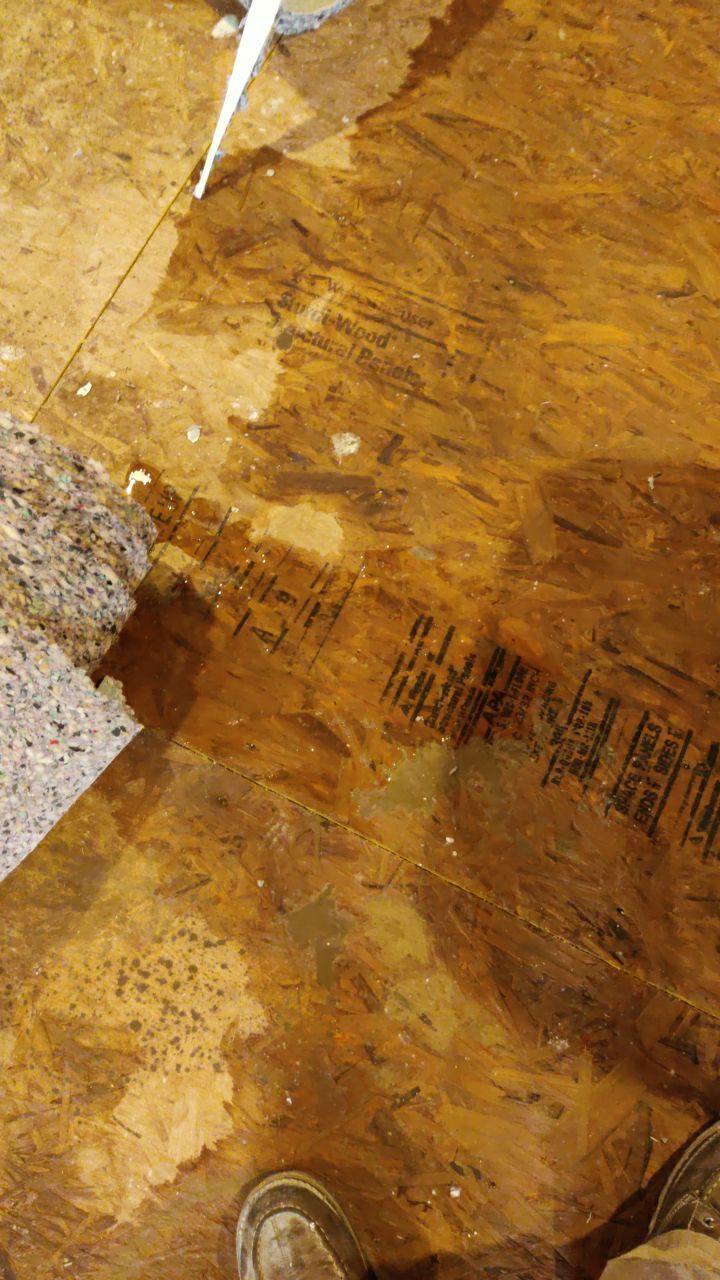 Water Damage Throughout Main Floor, Basement, and Crawl Space by Accountable Home Services