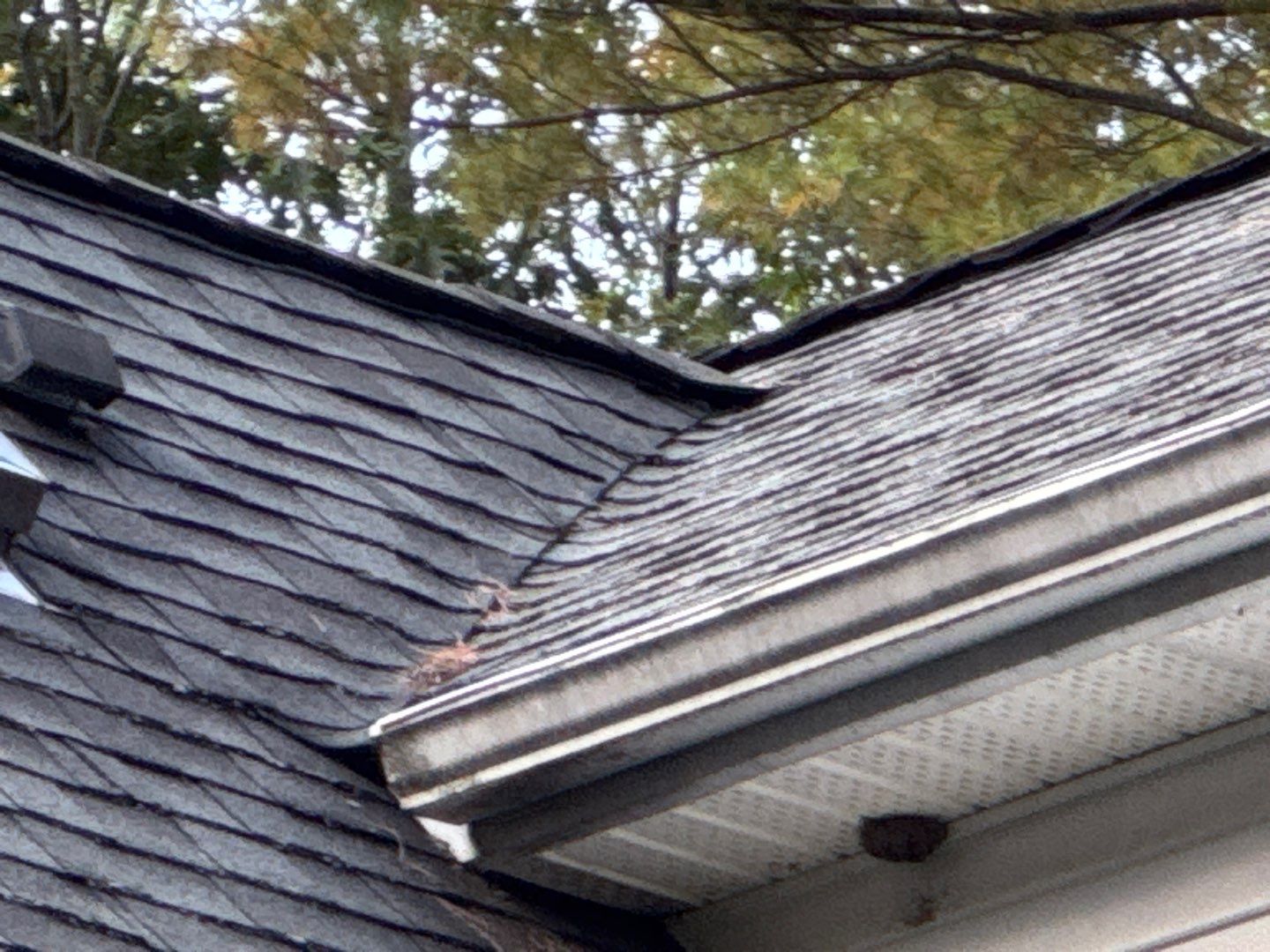 "Lightning-Fast Roof Replacement & Expert Flashing – Customer Delighted!" by Sensible Home Solutions