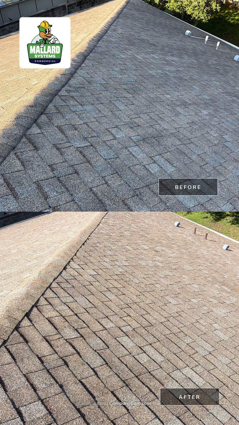 Shingle Roof Cleaning at Kissimmee Commercial Center by Mallard Systems