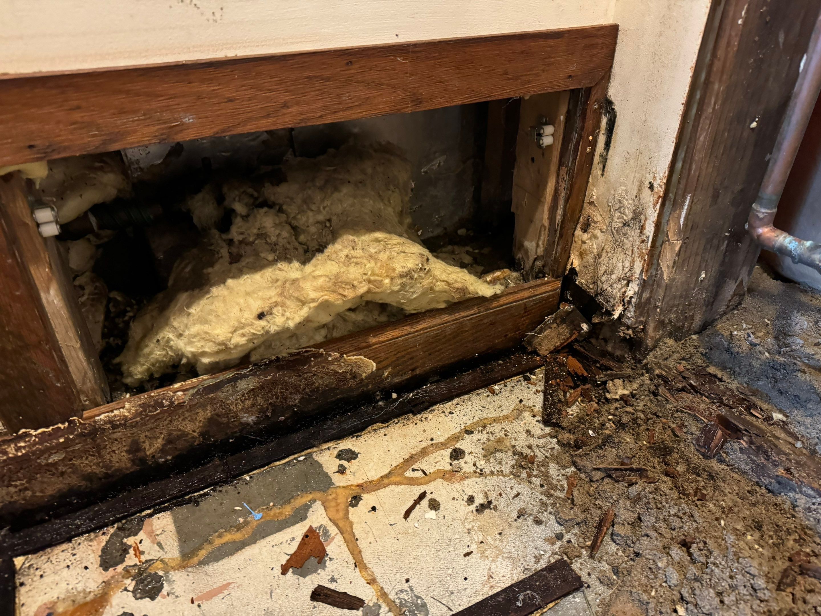Major Basement Remediation / Restoration by Home Guarantee, LLC