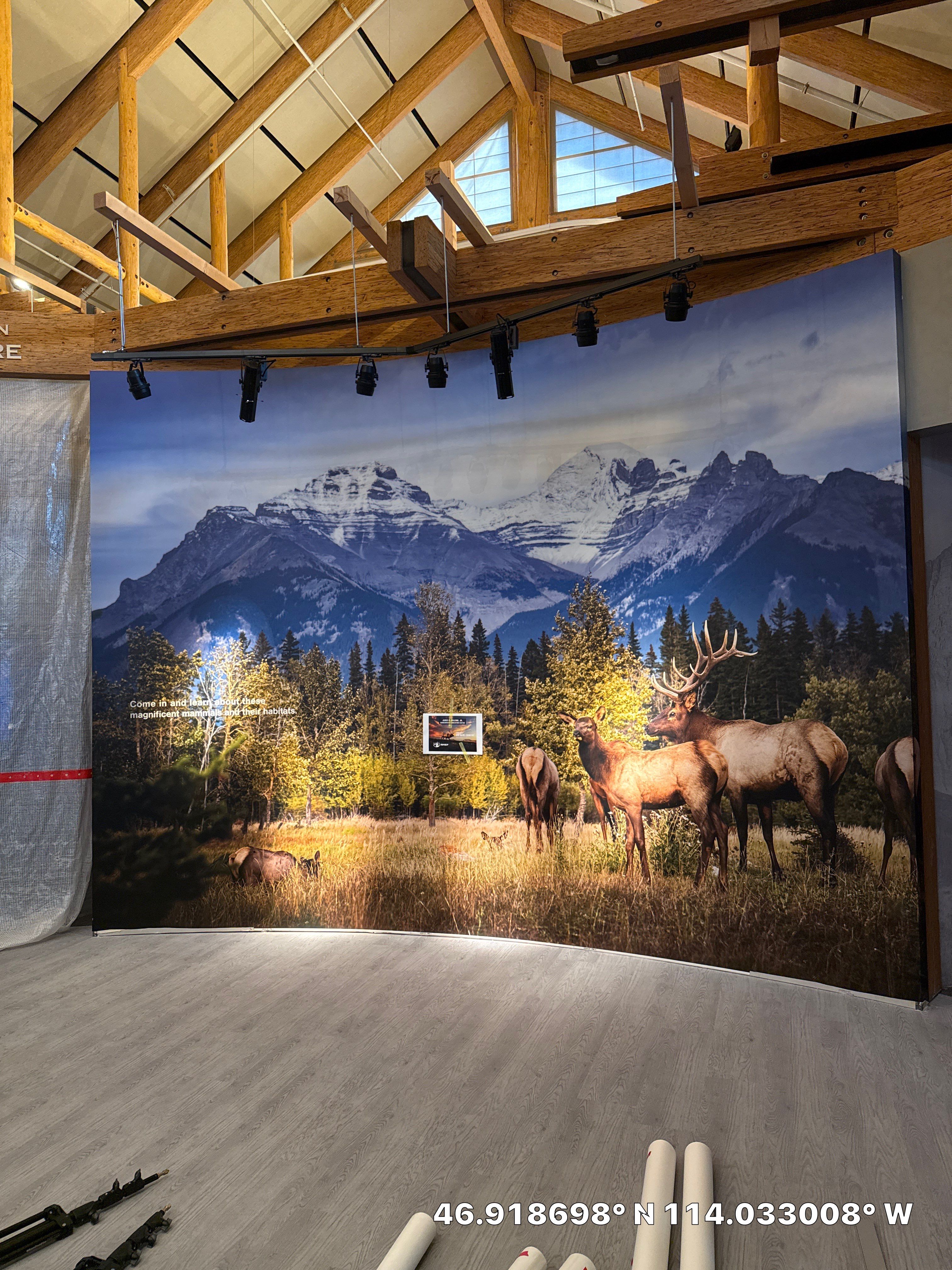 Rocky Mountain Elk Foundation Wall Mural  by FASTSIGNS of Missoula