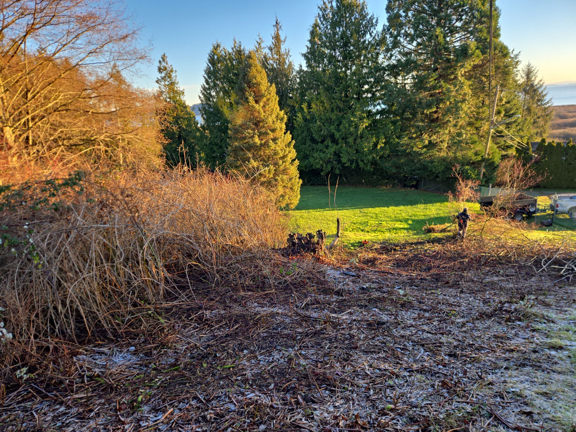 Island View - Ecological Restoration & Stewardship by Habanero Landscape Solutions