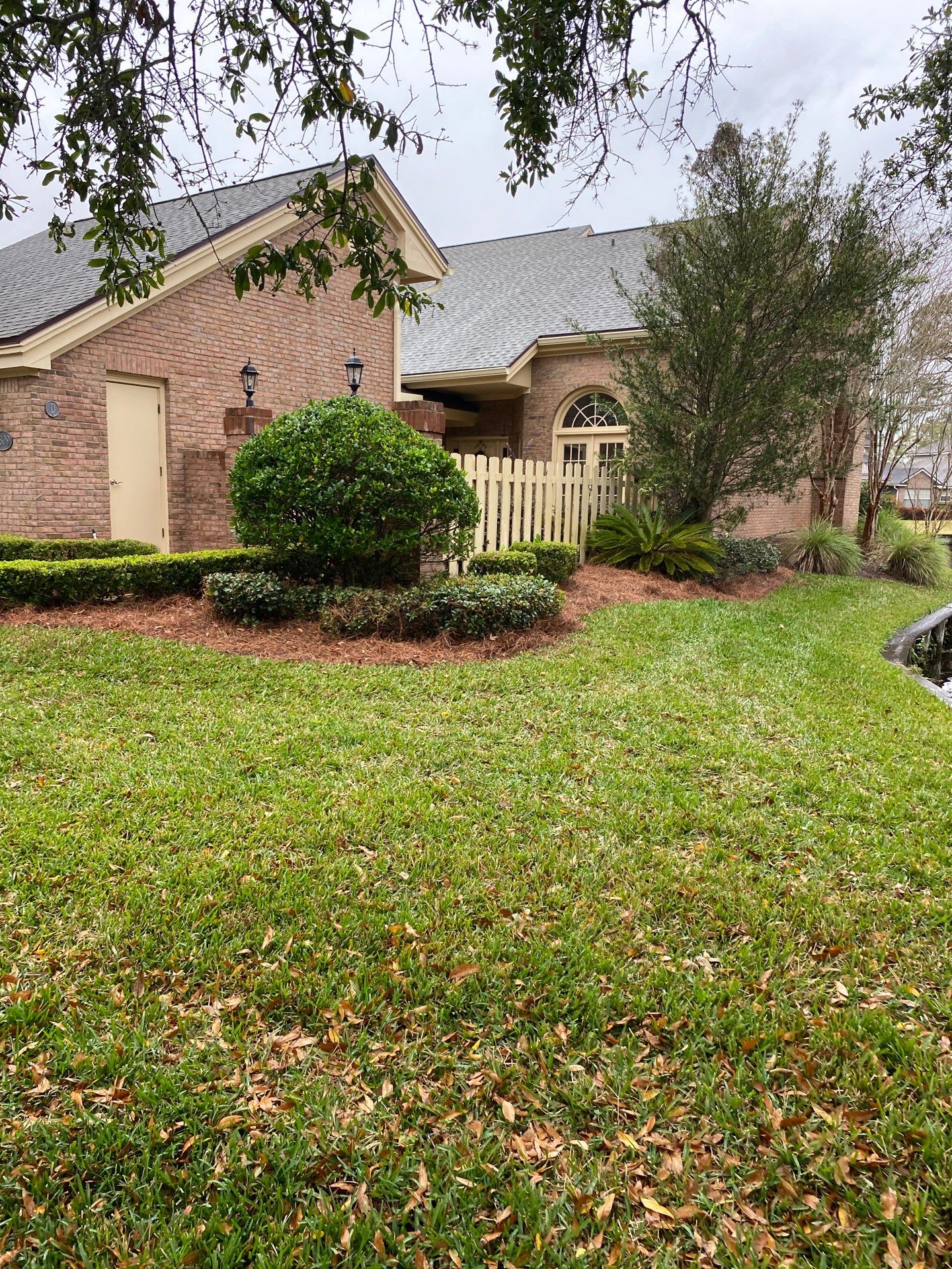 Deerwood Pointe | Tree Removal & Pine Straw Installation by ProGreen Services