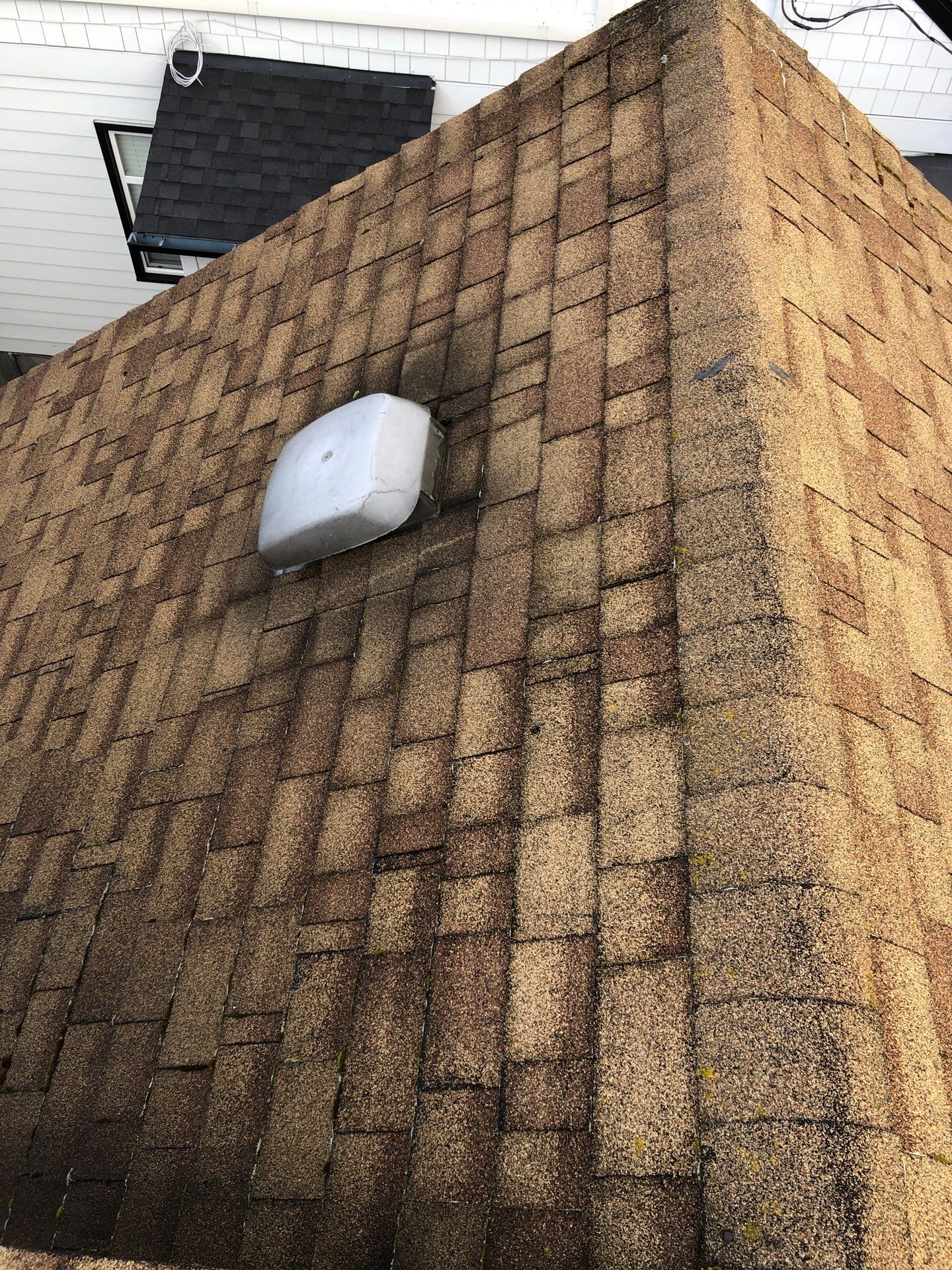 Project in Seattle by Peaks and Valleys Construction