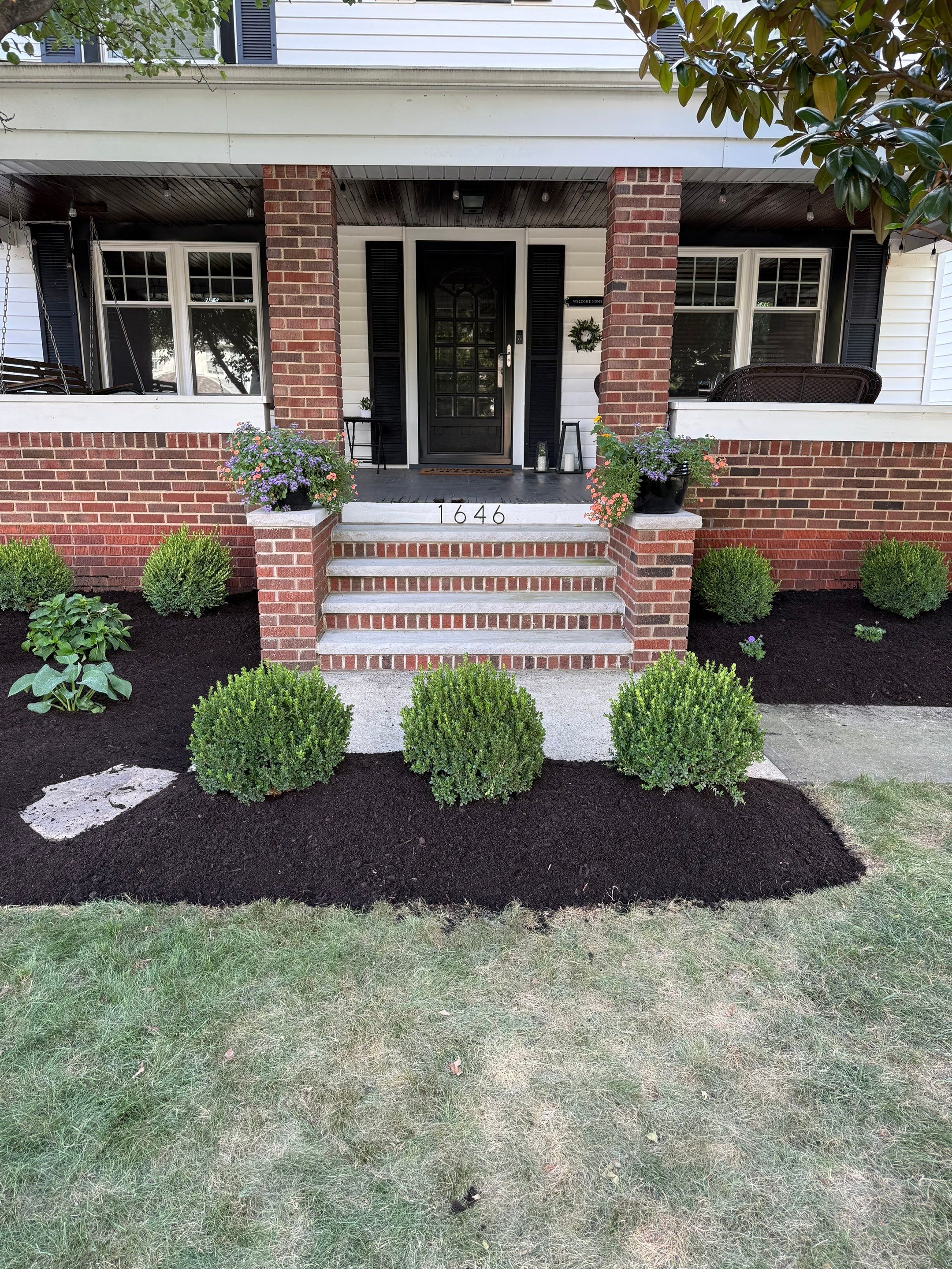 Modern Magnolia Project by Elm Rose Gardens