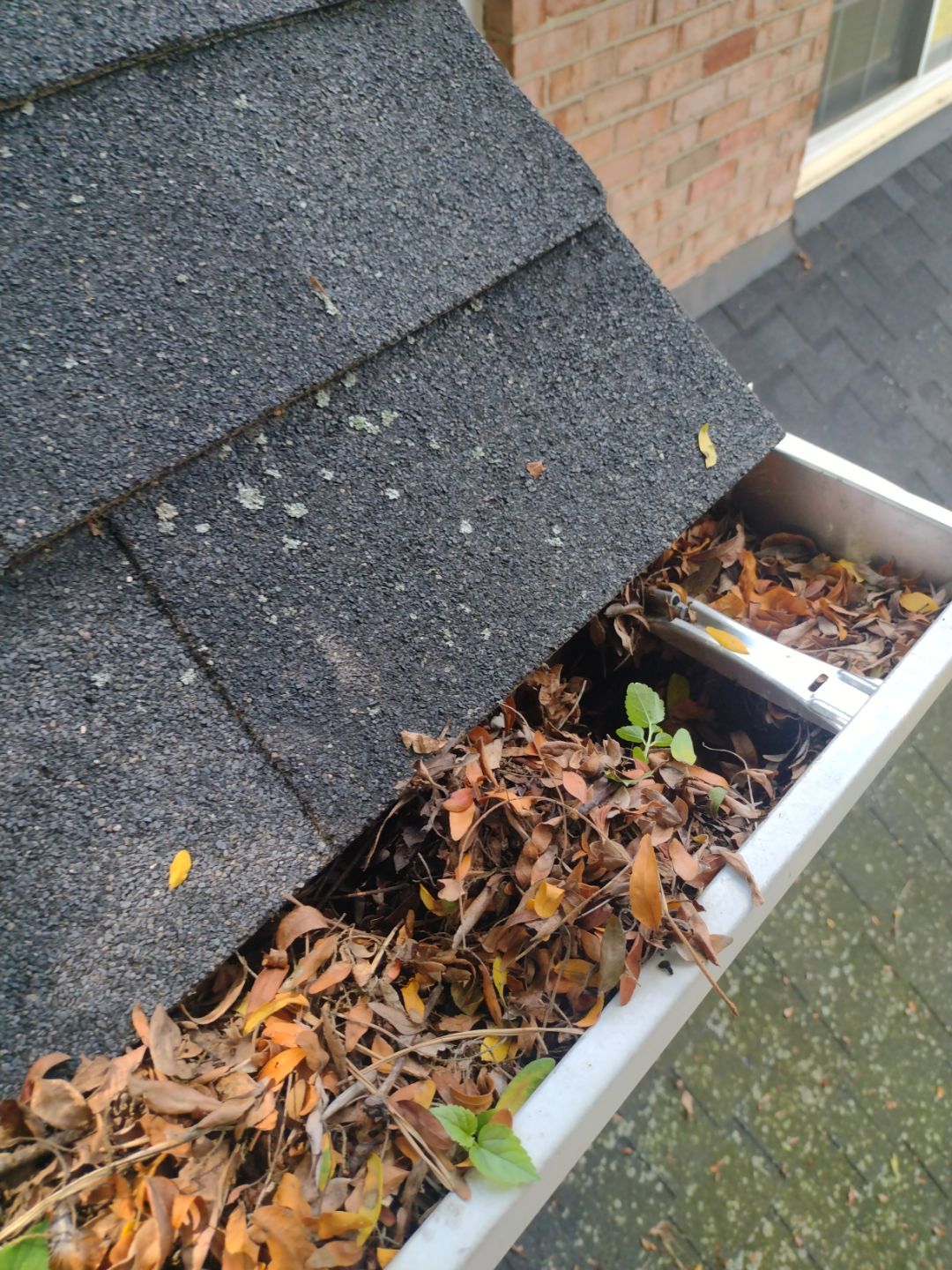 Commercial gutter cleaning Springfield, MI before photo with filled gutters