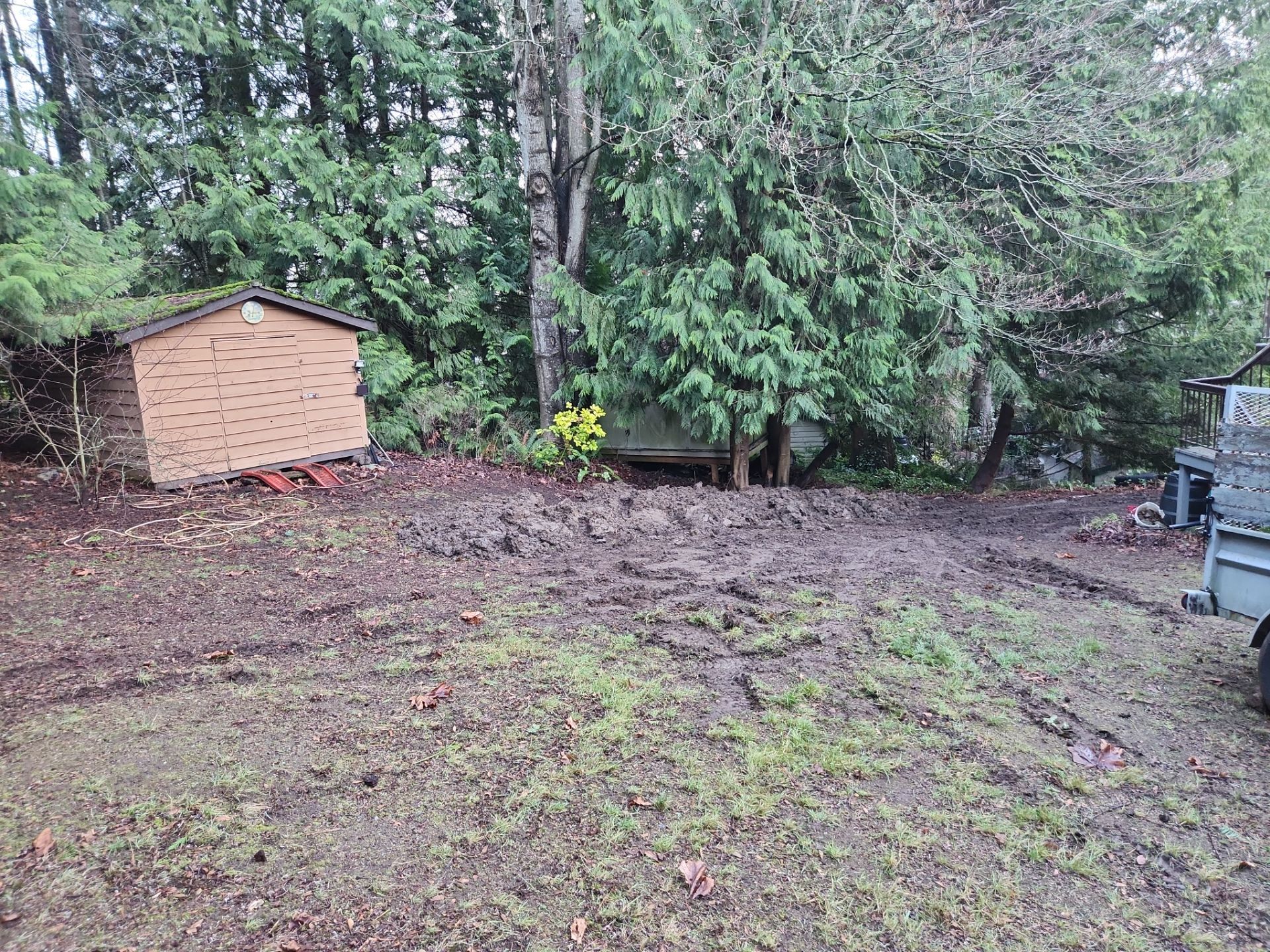 Complete Backyard Transformation with Eco-Lawn, Xeriscape, and New Chain Link Fence Installation by Habanero Garden and Exterior Care
