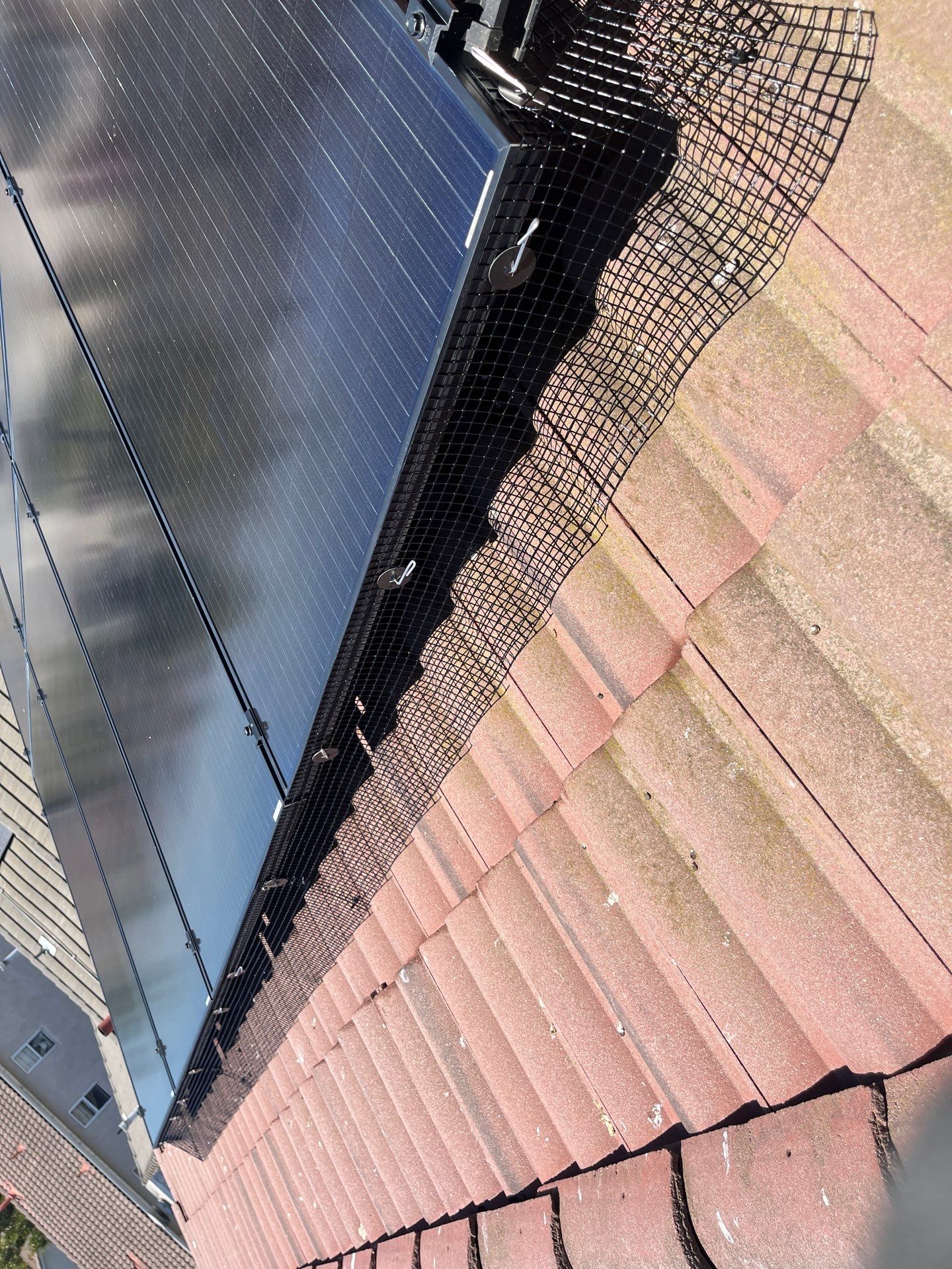 Project in Hollister, CA by All One Solar Shine