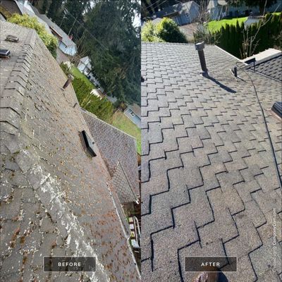 Roof Cleaning – Everett, WA